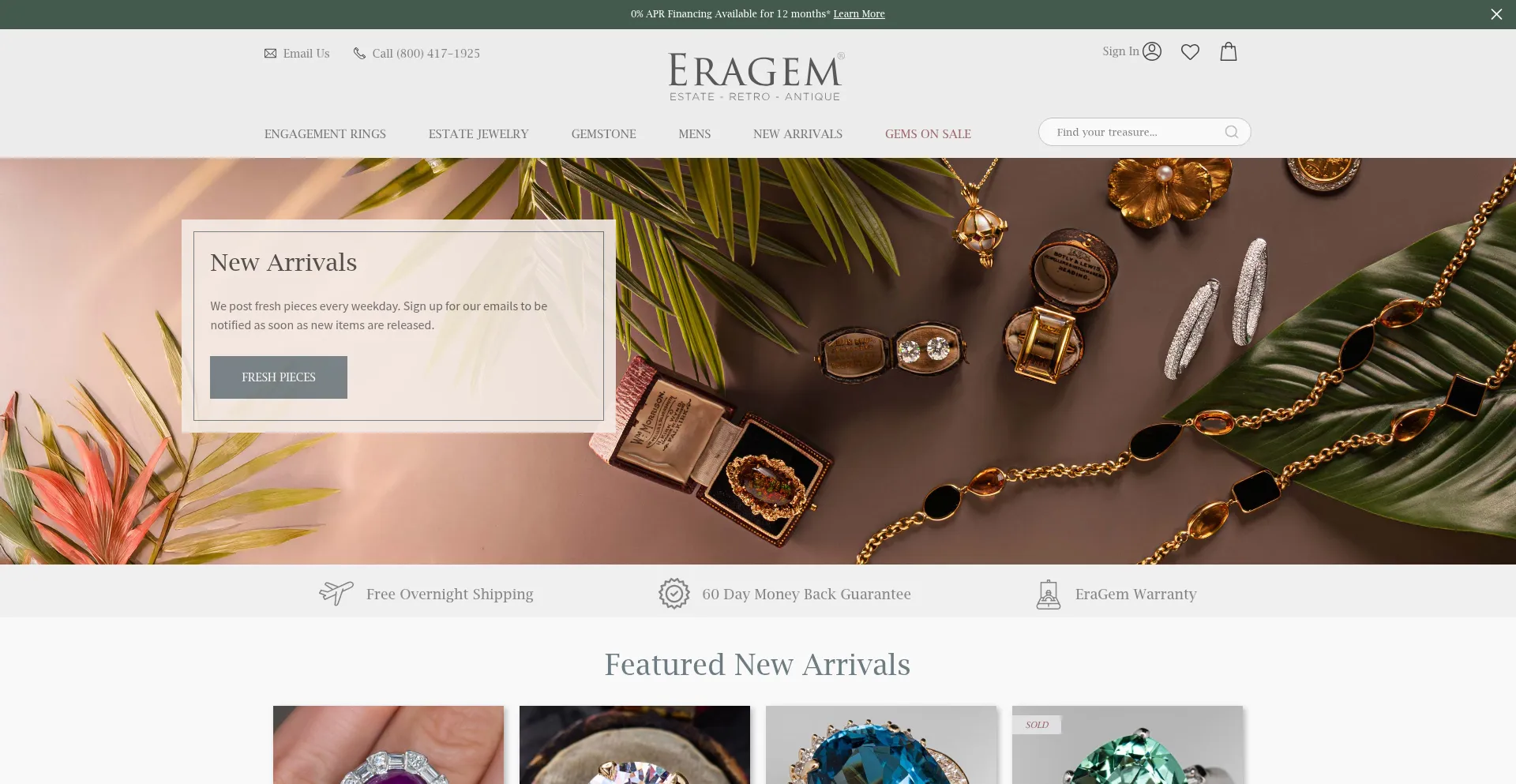 Website screenshot of Eragem.com