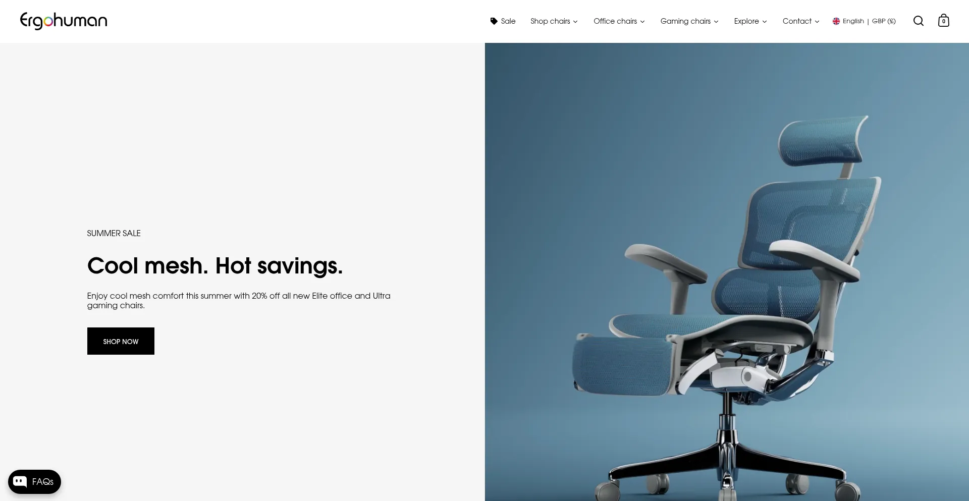 Website screenshot of Ergohuman.store