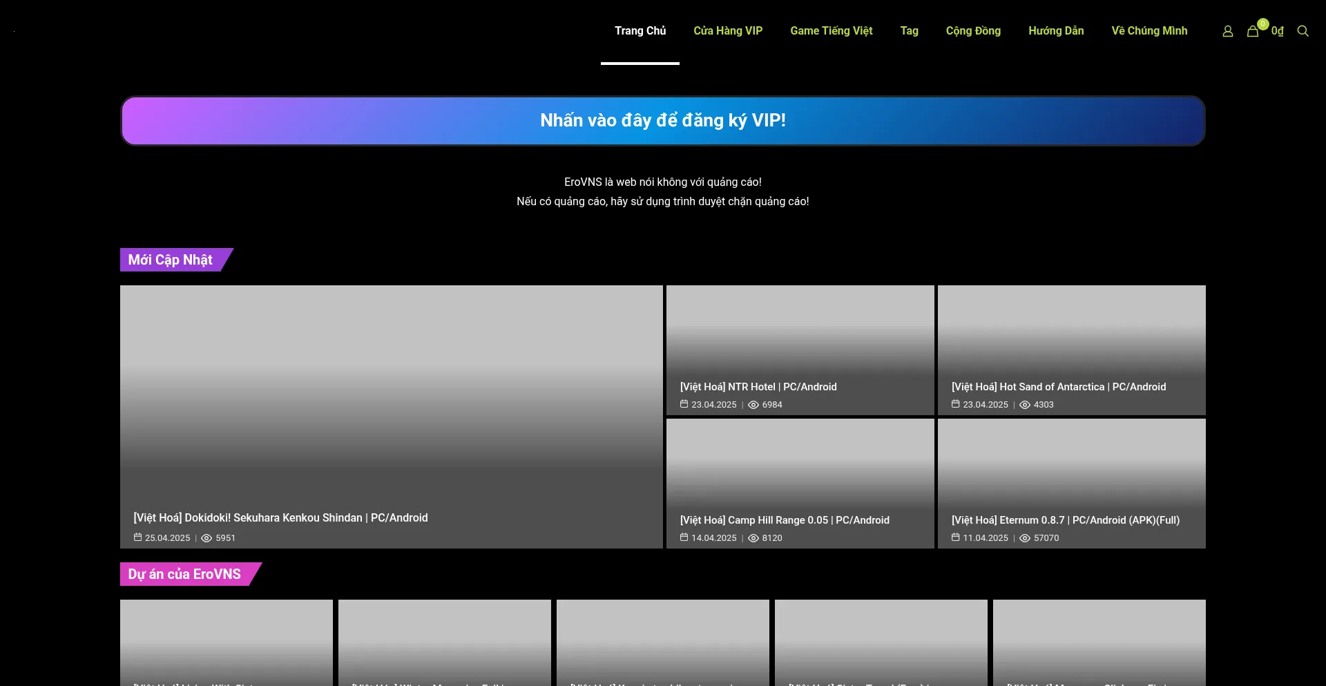 Website screenshot of Erovns.com