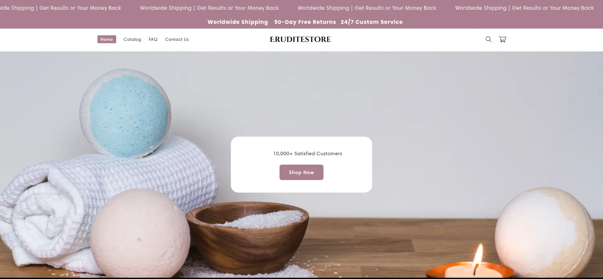 Website screenshot of Eruditestore.com
