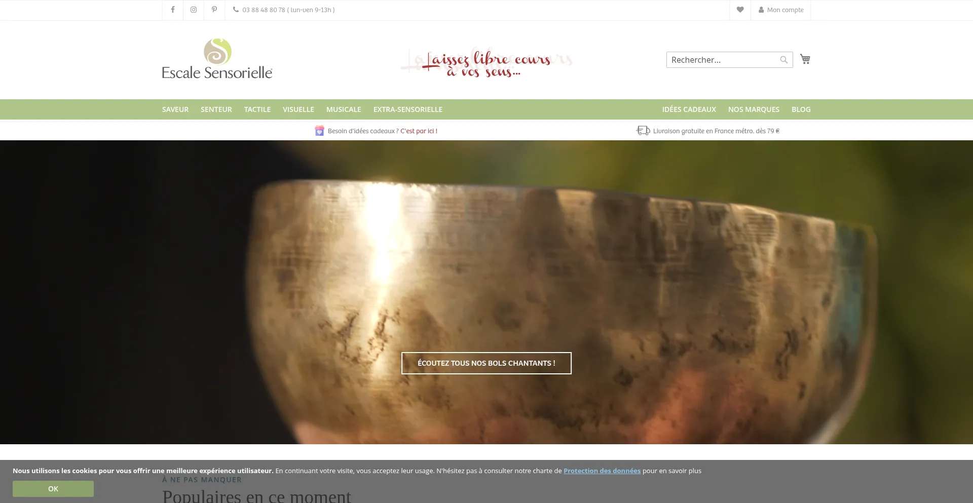 Website screenshot of Escalesensorielle.com