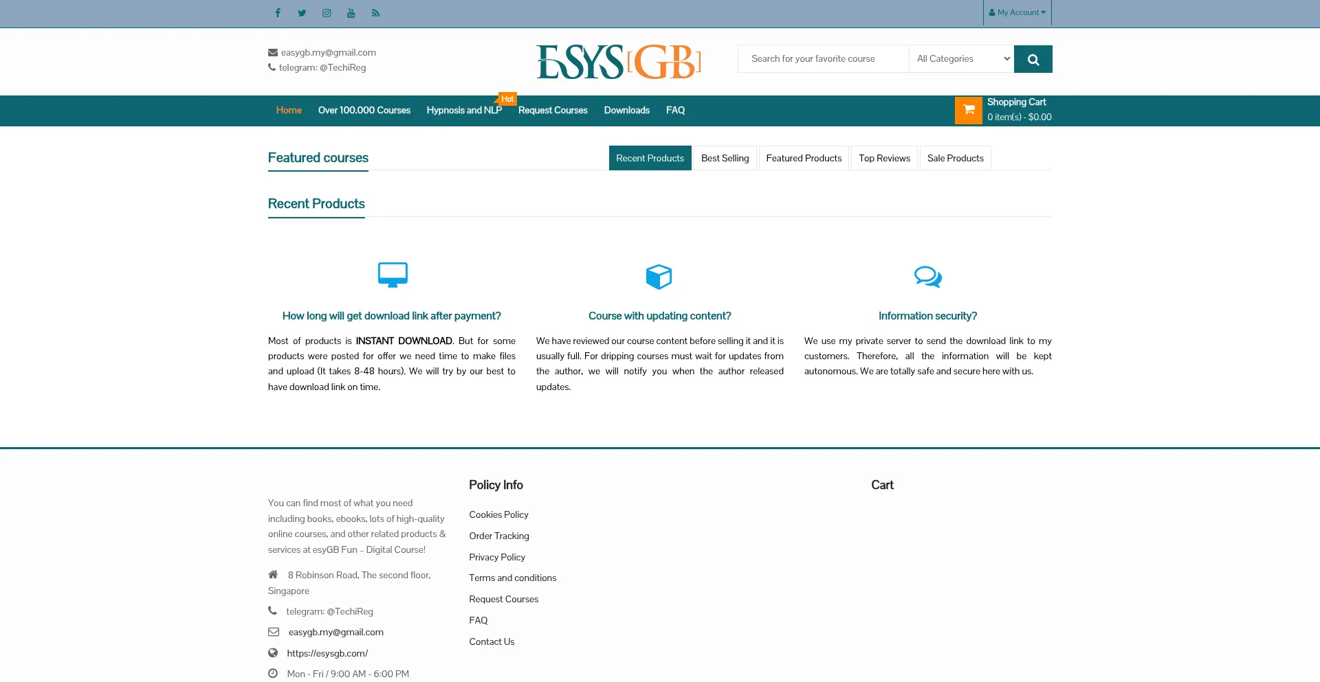 Website screenshot of Esysgb.store