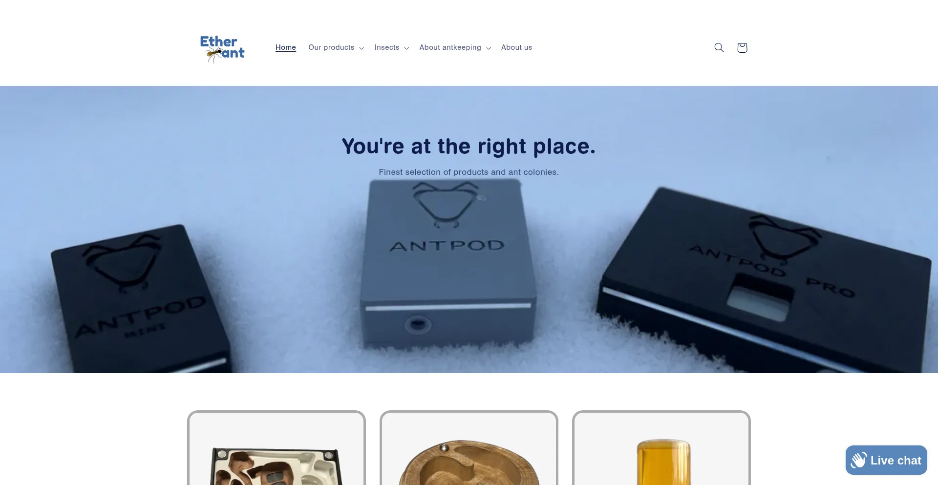 Website screenshot of Etherant.store