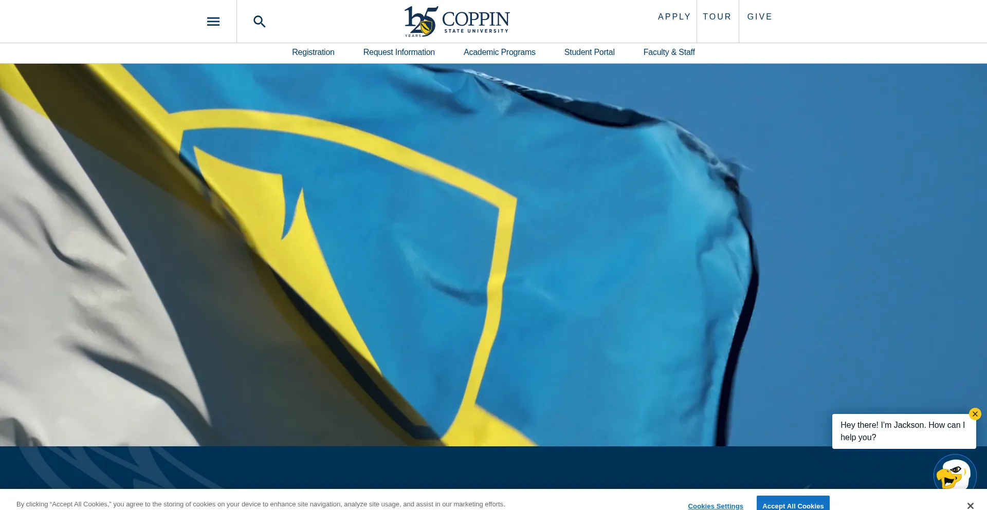 Website screenshot of Eungco.club