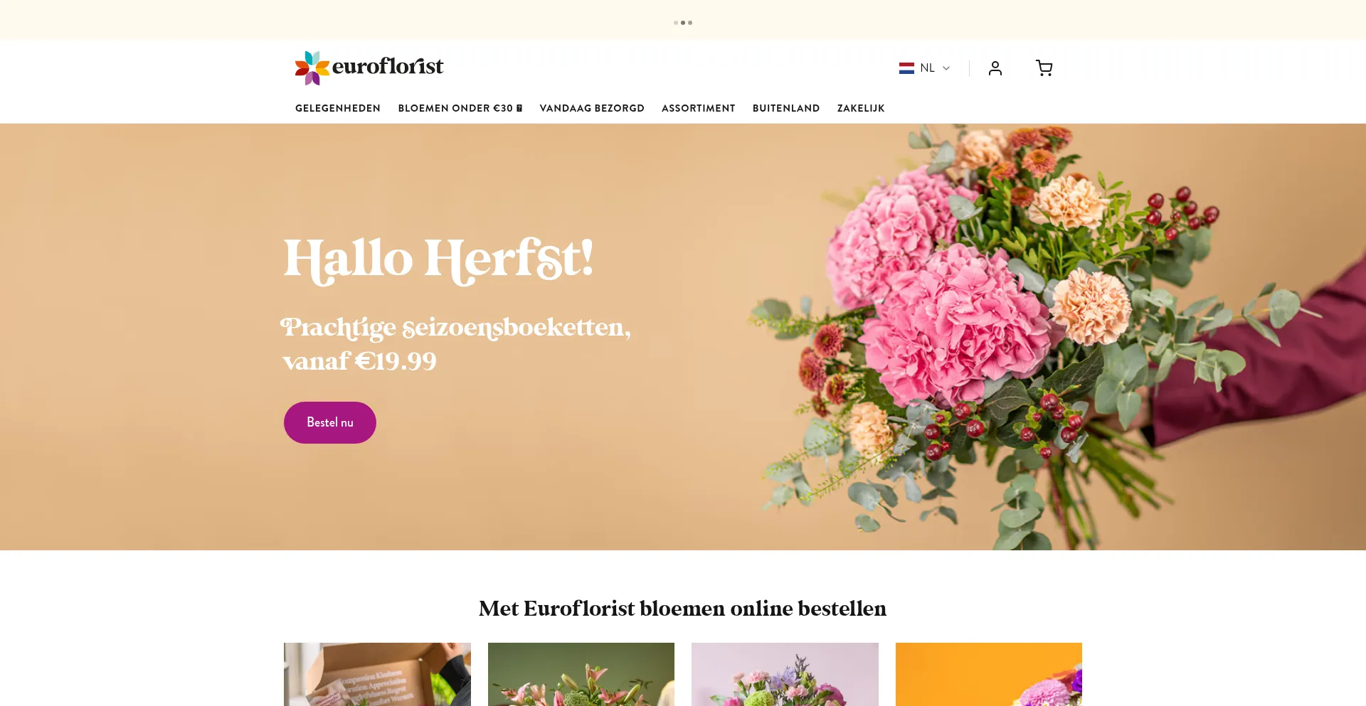 Euroflorist.nl Screenshot