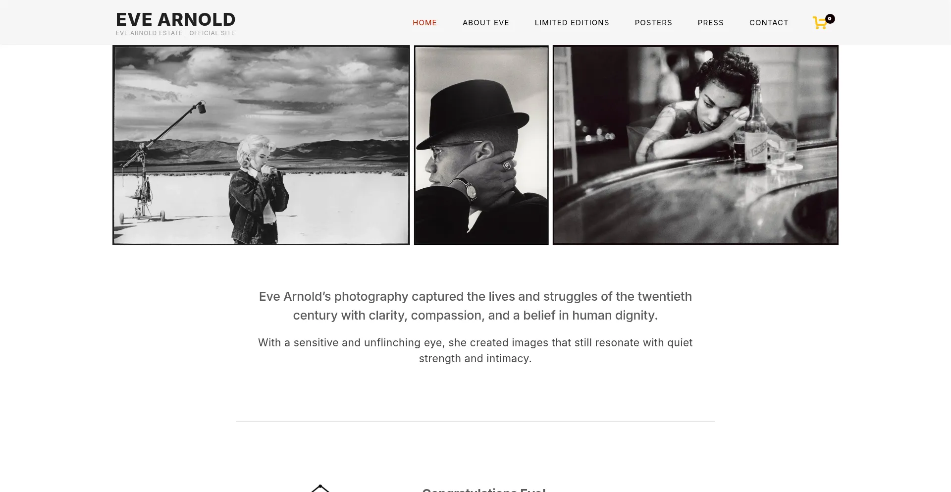 Website screenshot of Evearnold.com