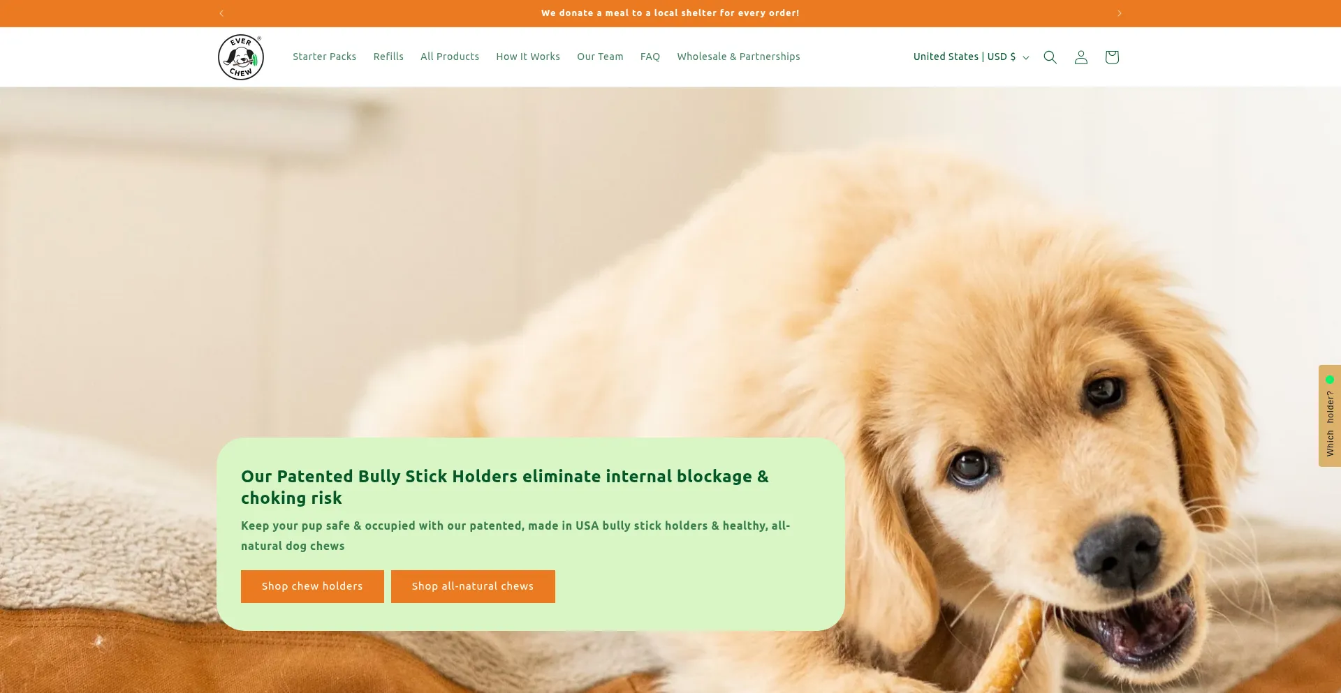 Website screenshot of Everchew.com