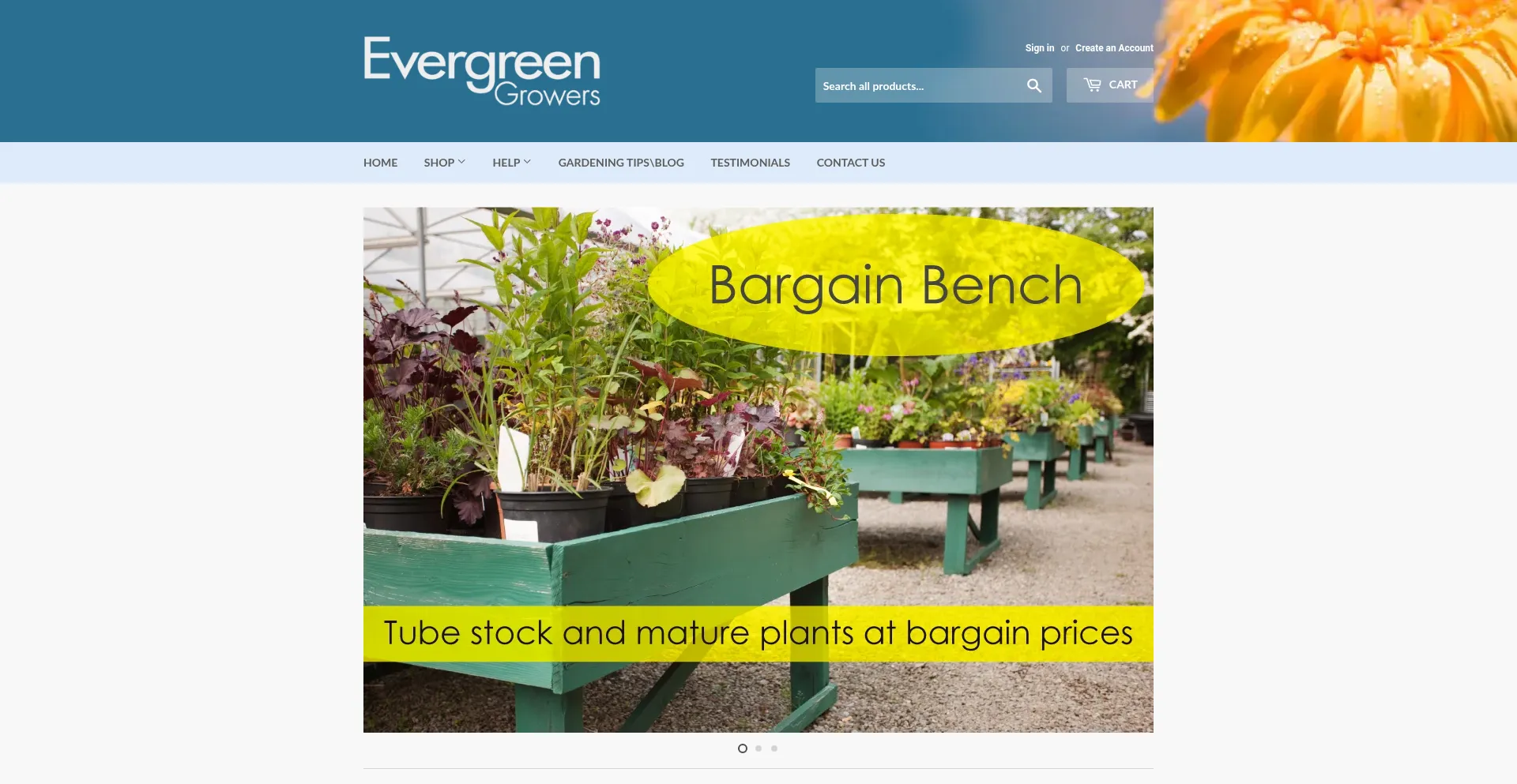 Evergreengrowers.com.au