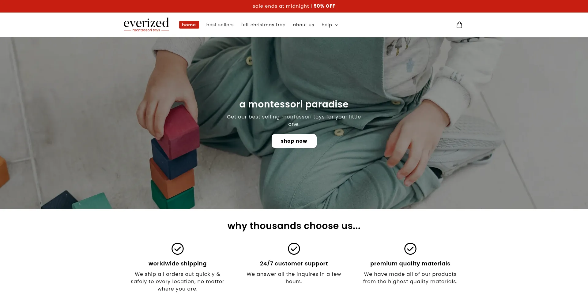 Everized.com Screenshot
