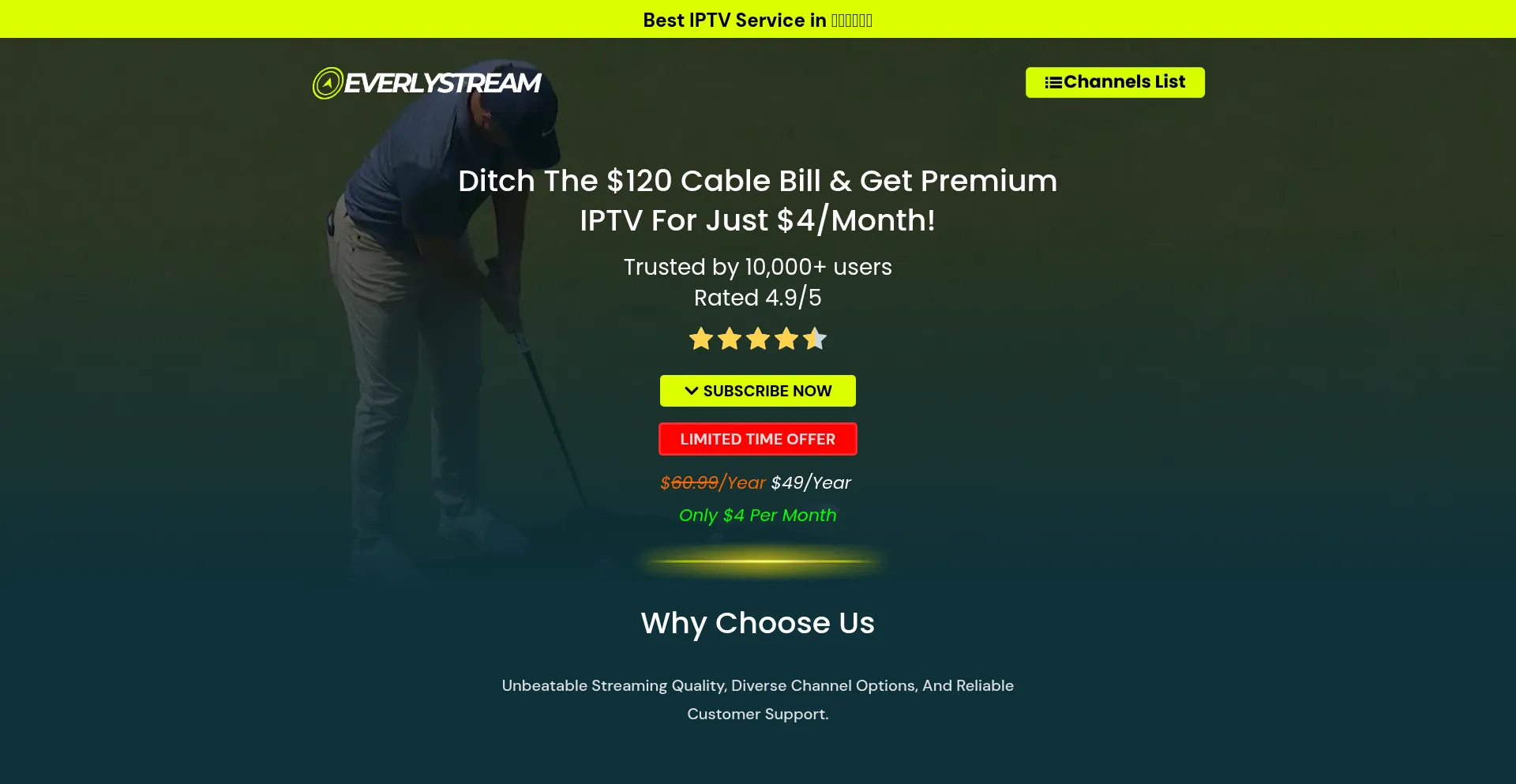 Website screenshot of Everlystream.com