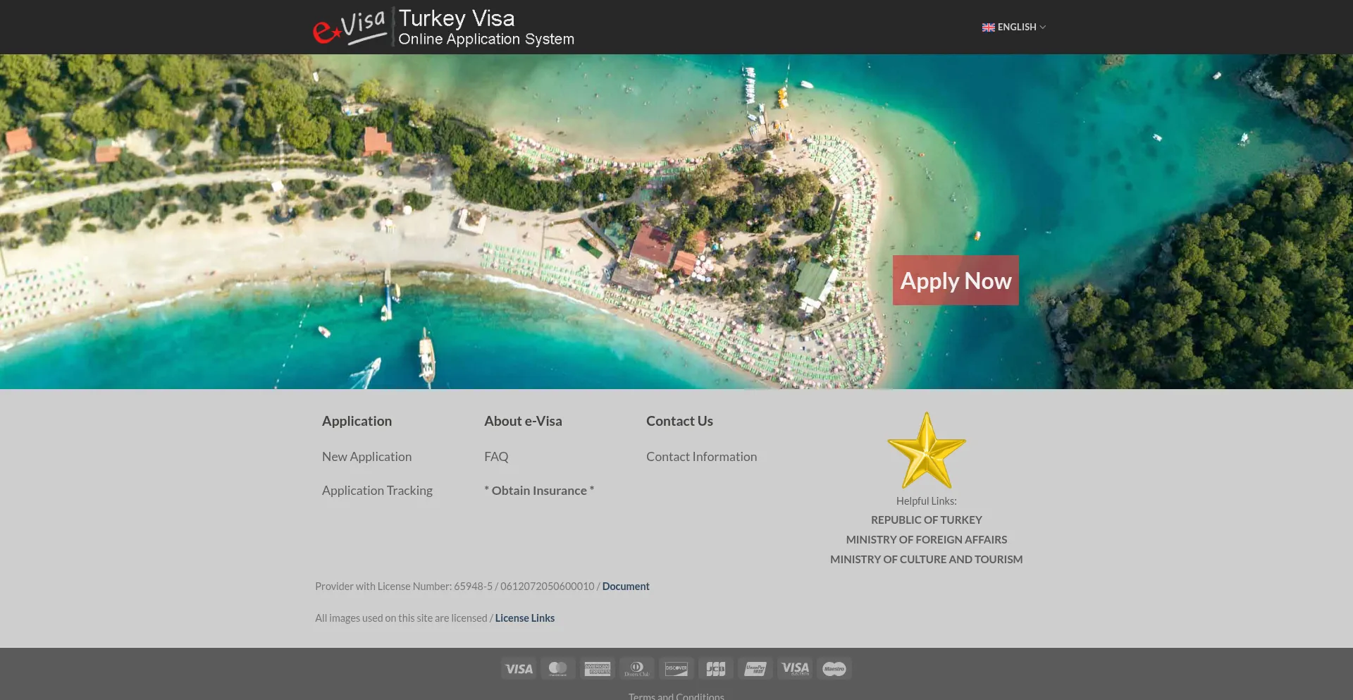 Website screenshot of Evisa.org.tr
