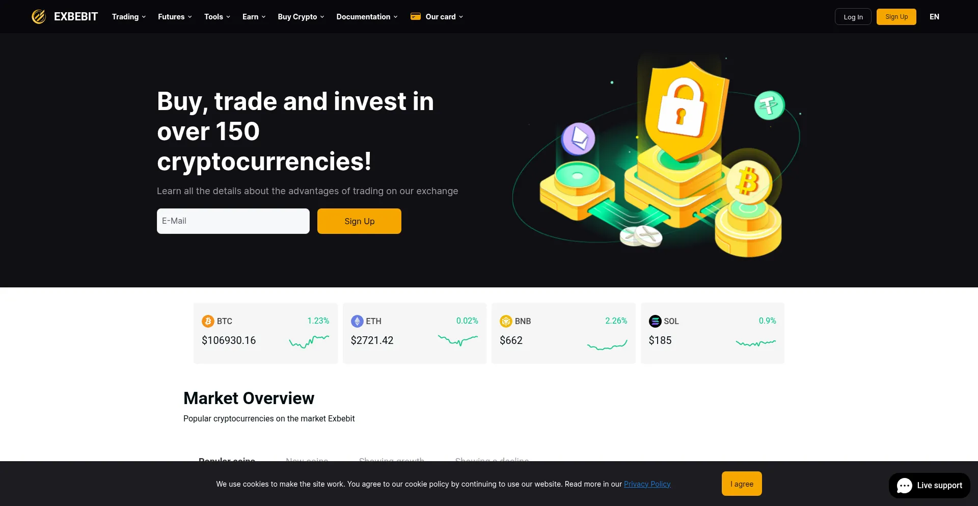 Website screenshot of Exbebit.com