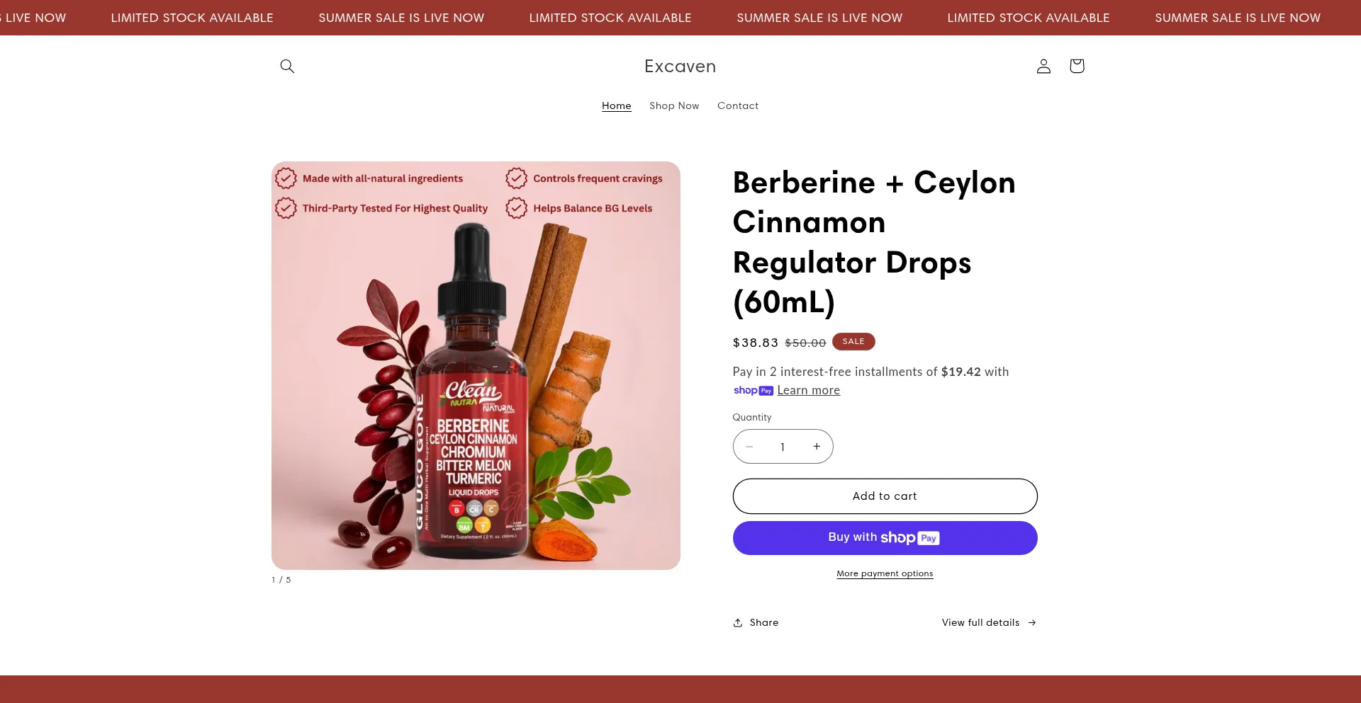 Website screenshot of Excaven.com