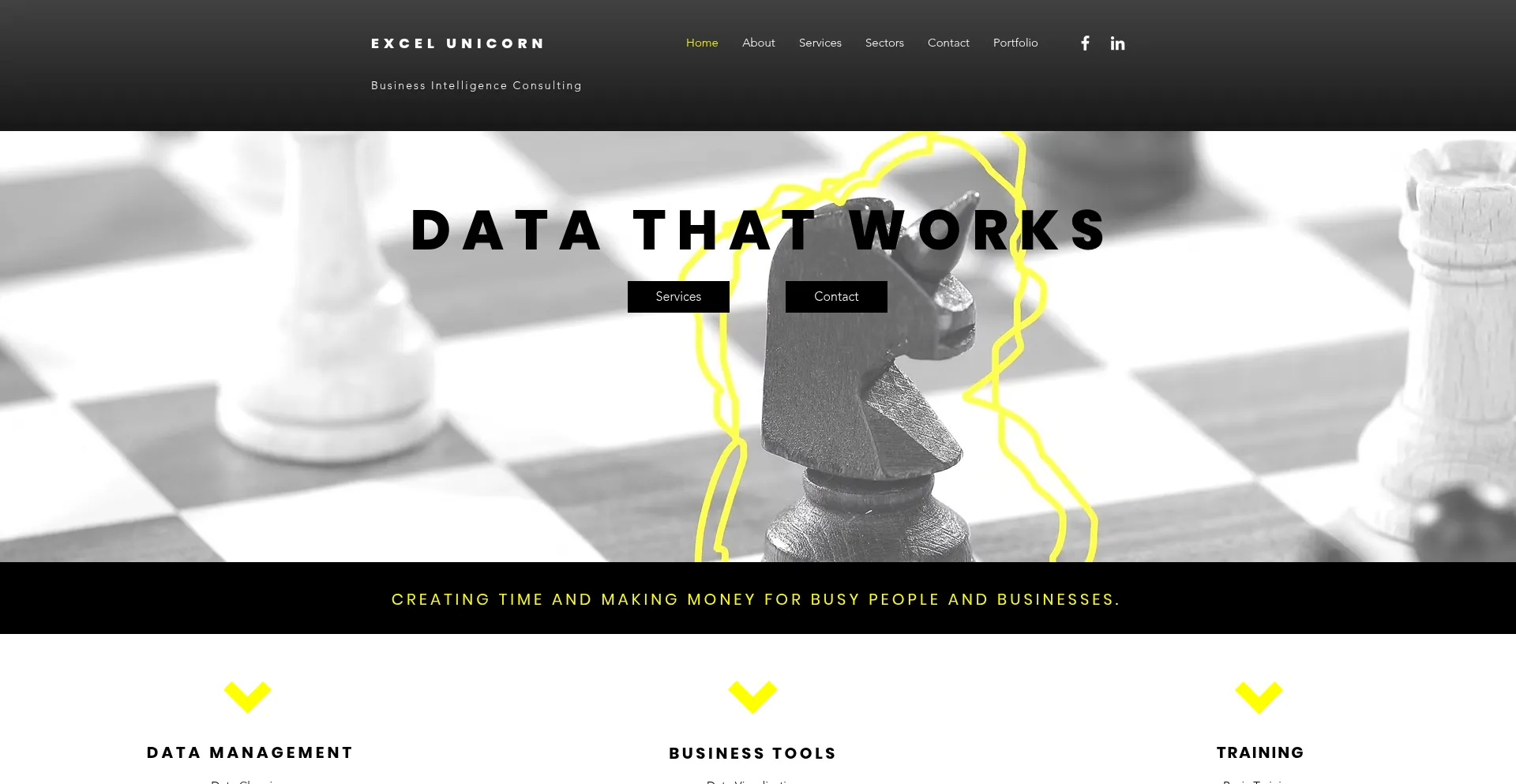 Website screenshot of Excelunicorn.com