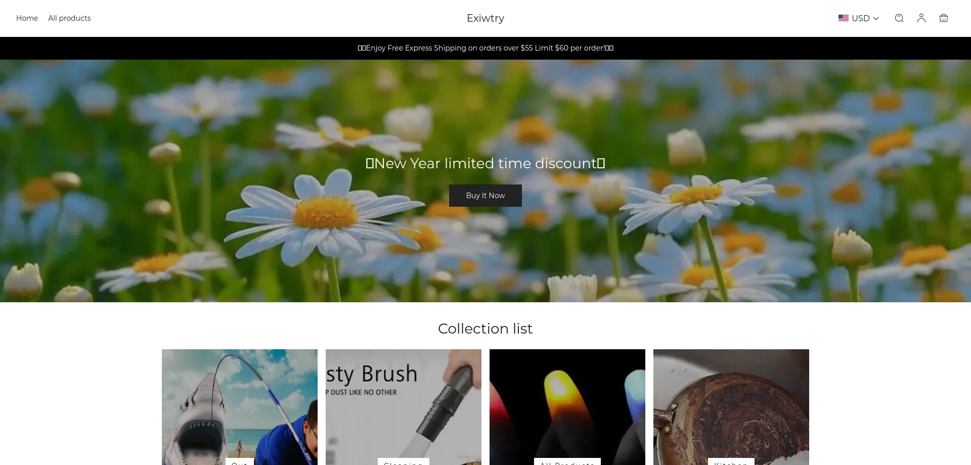 Website screenshot of Exiwtry.com