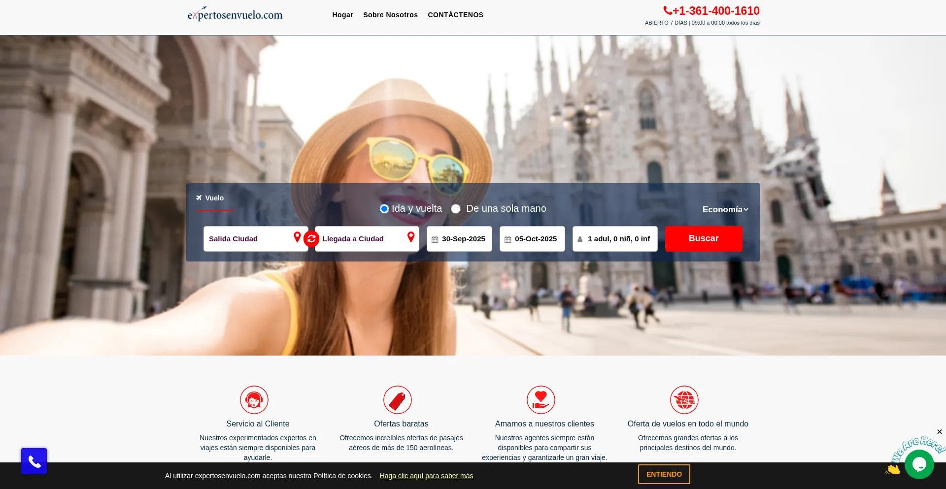 Expertosenvuelo.com Screenshot