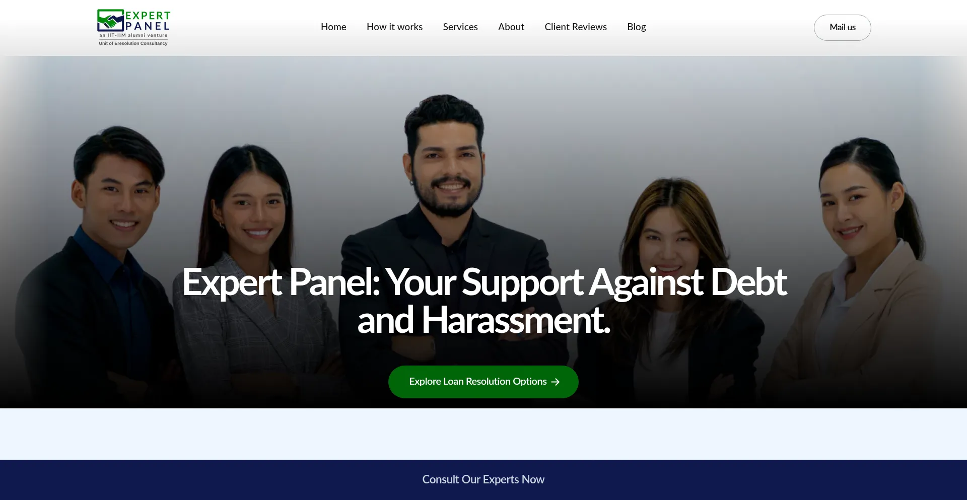 Website screenshot of Expertpanel.org