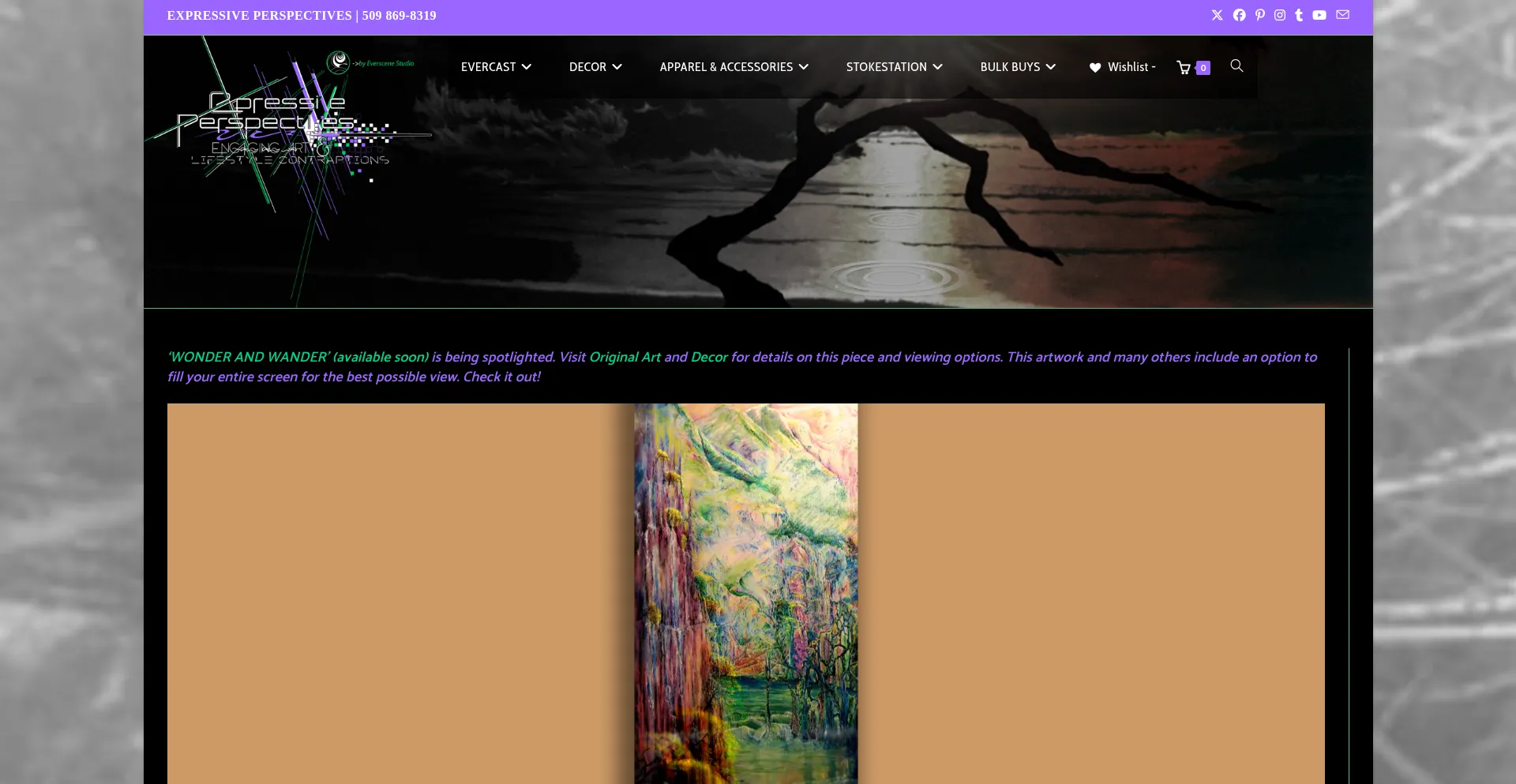 Website screenshot of Expressiveperspectives.com