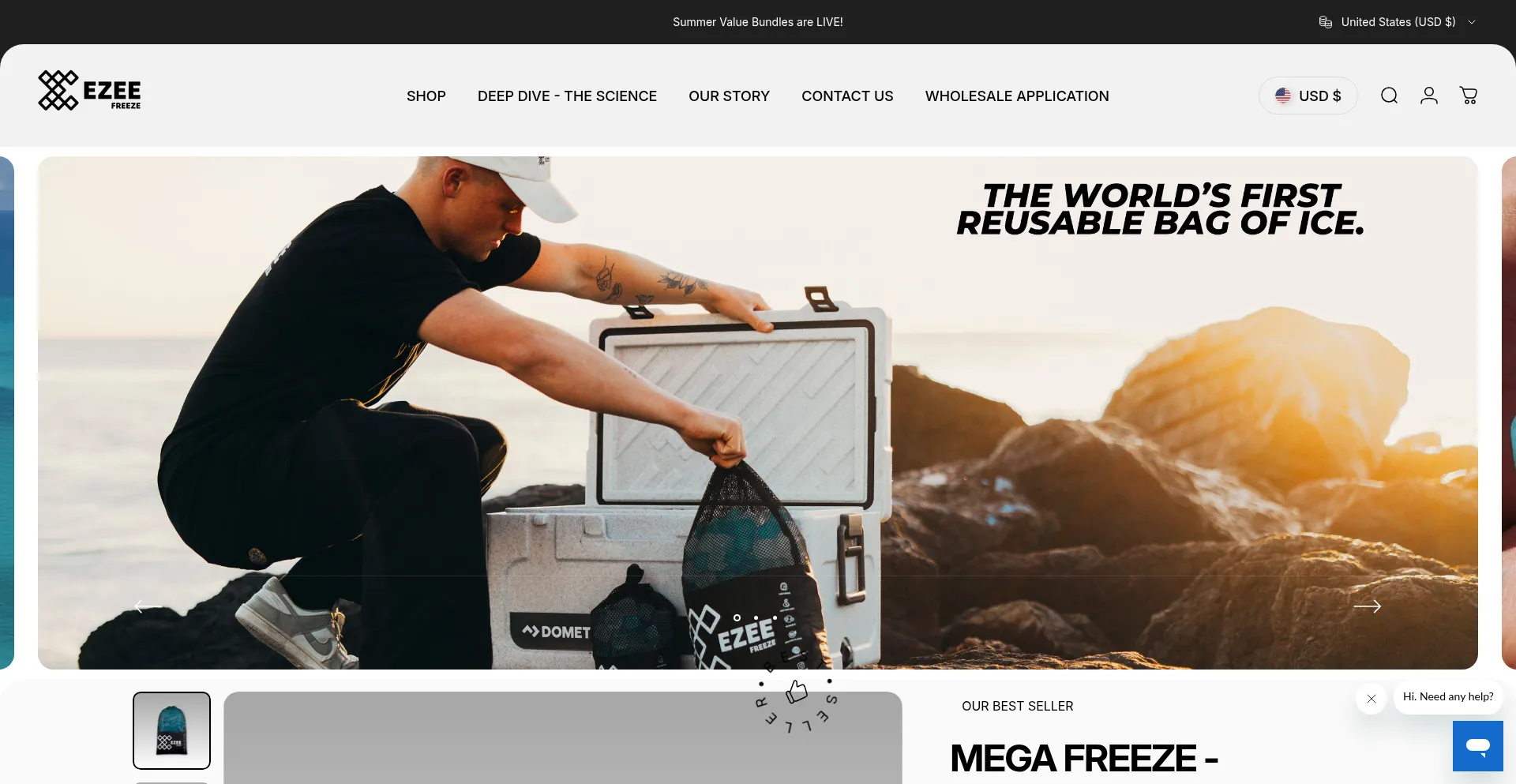 Website screenshot of Ezeefreeze.co