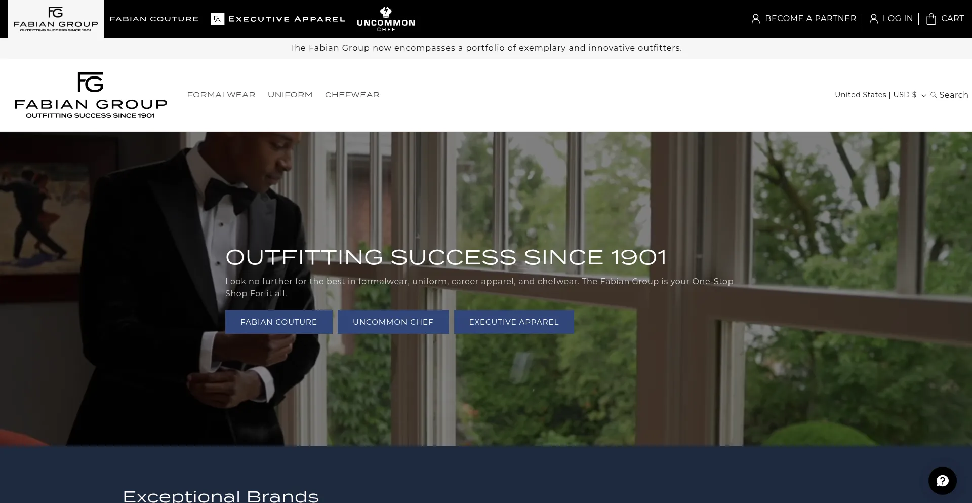 Website screenshot of Fabiangroup.com