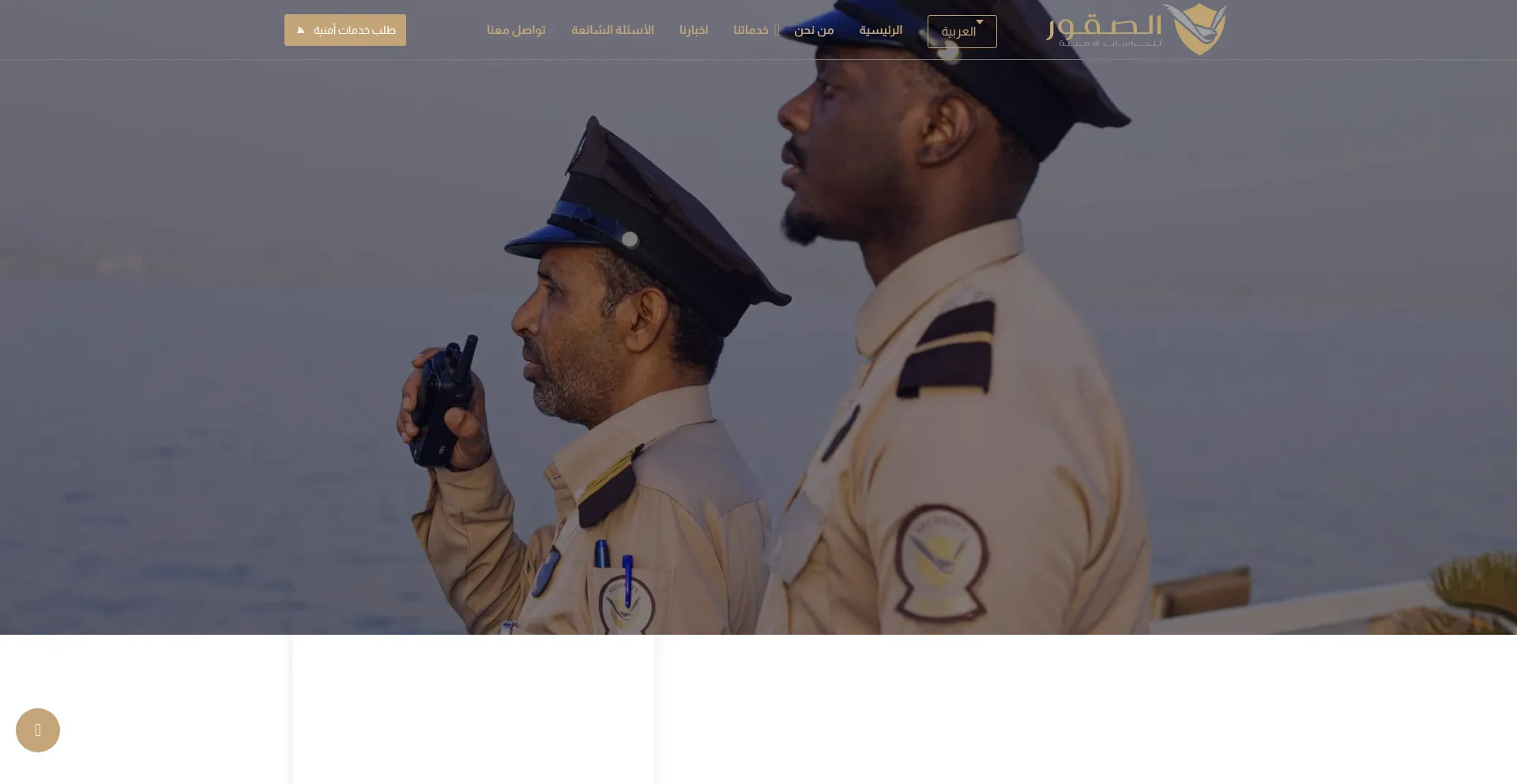 Falconssecurity.com