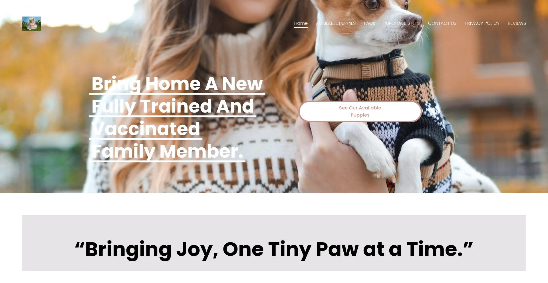 Website screenshot of Familychihuahuas.com