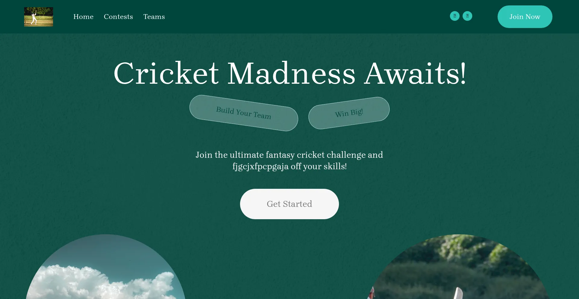 Website screenshot of Fantasy-cricket-challenge.com