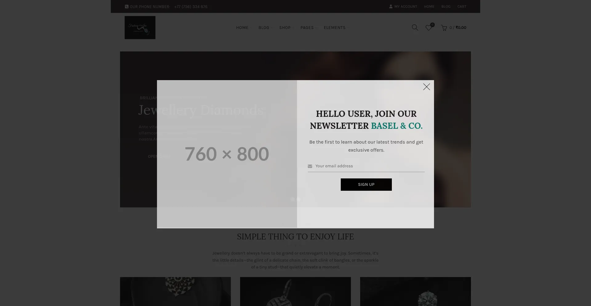 Website screenshot of Fashioninc.in