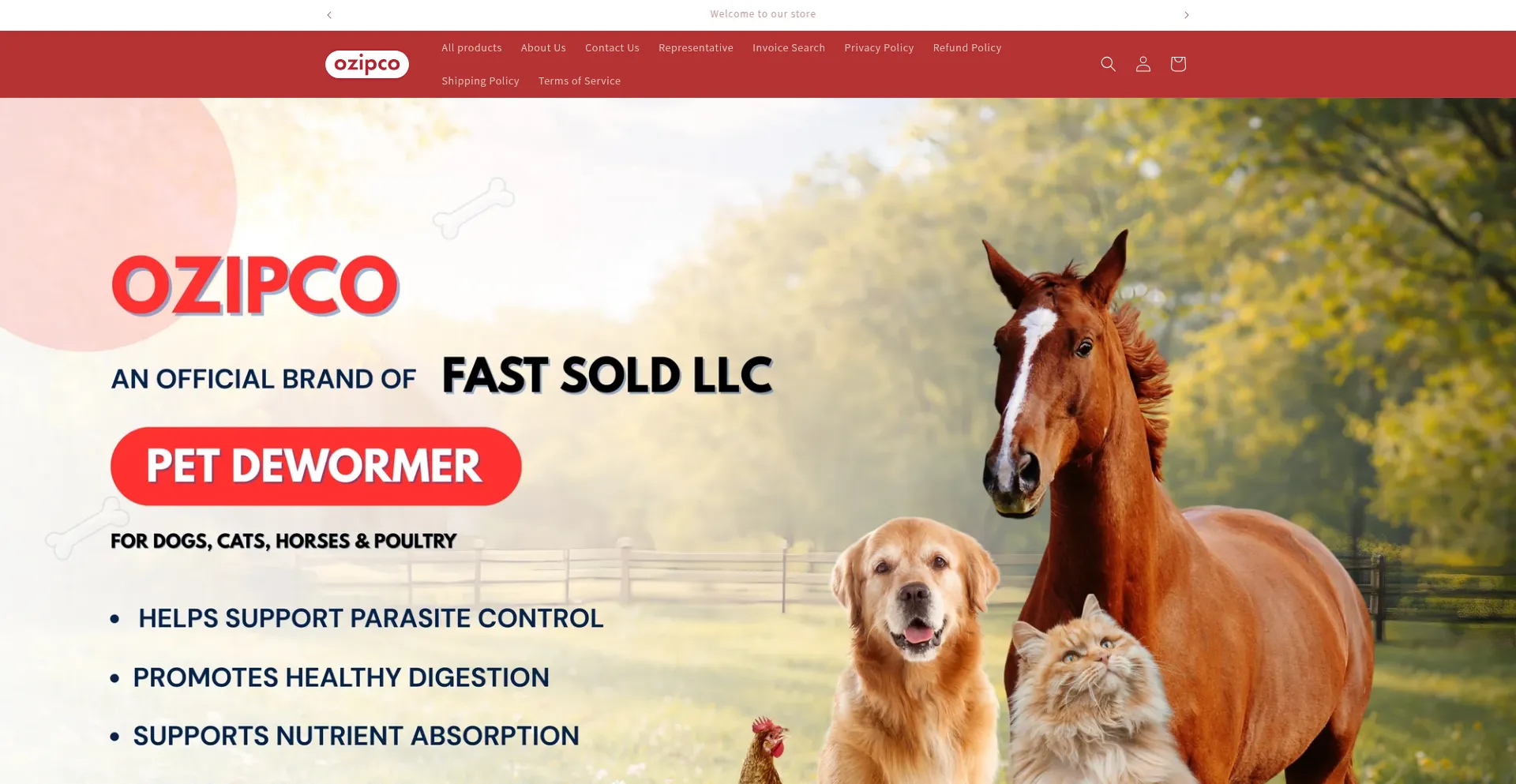 Fastsoldllc.com