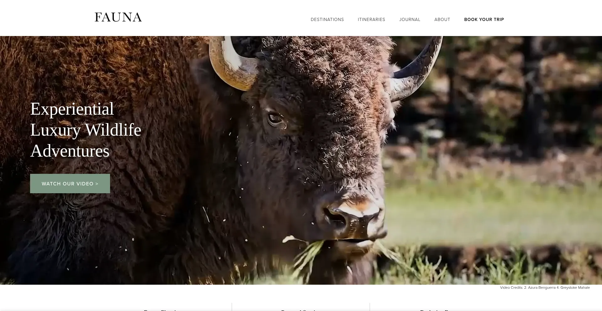Faunatravel.com