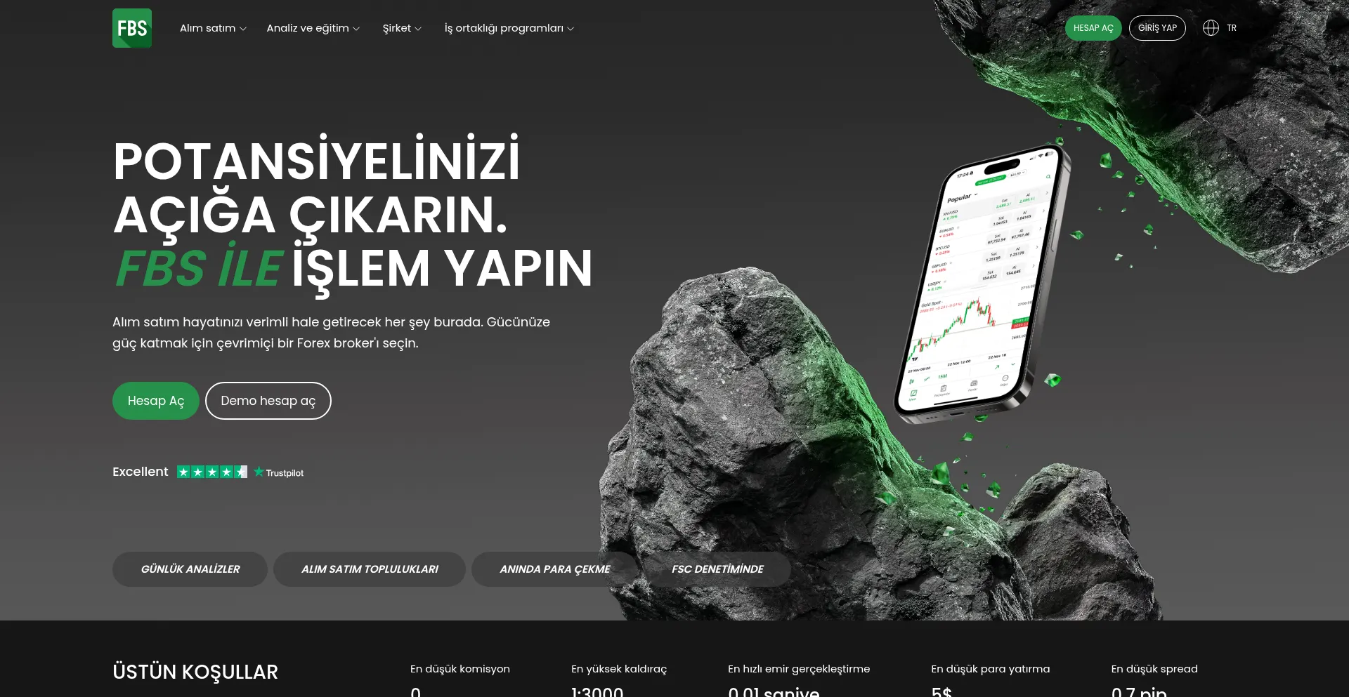 Website screenshot of Fbs-trader-tur.com