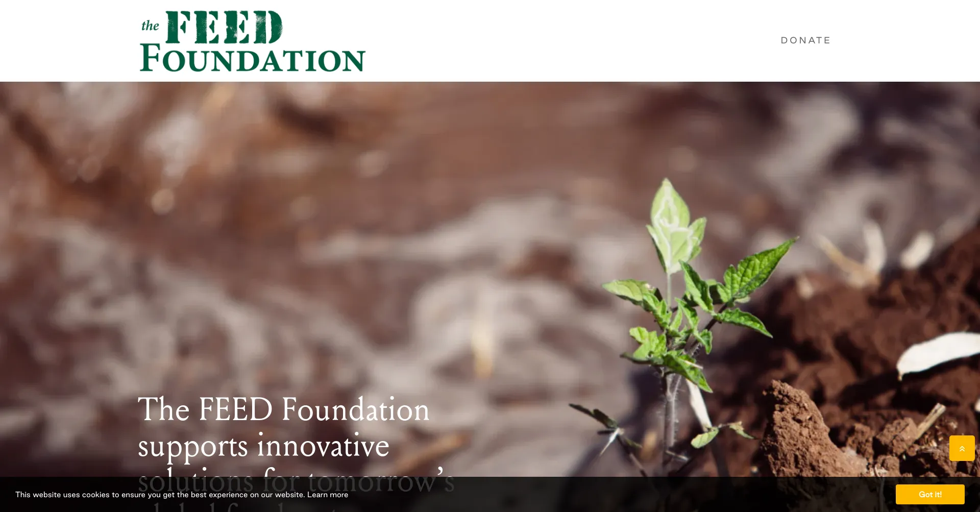 Website screenshot of Feedfoundation.org
