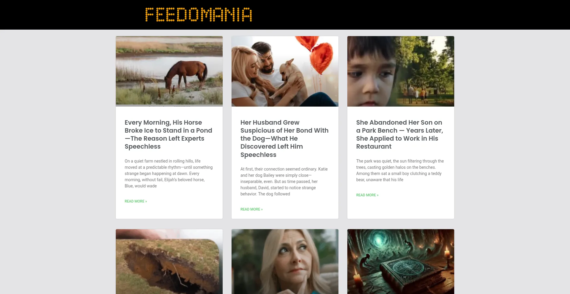 Website screenshot of Feedomania.com