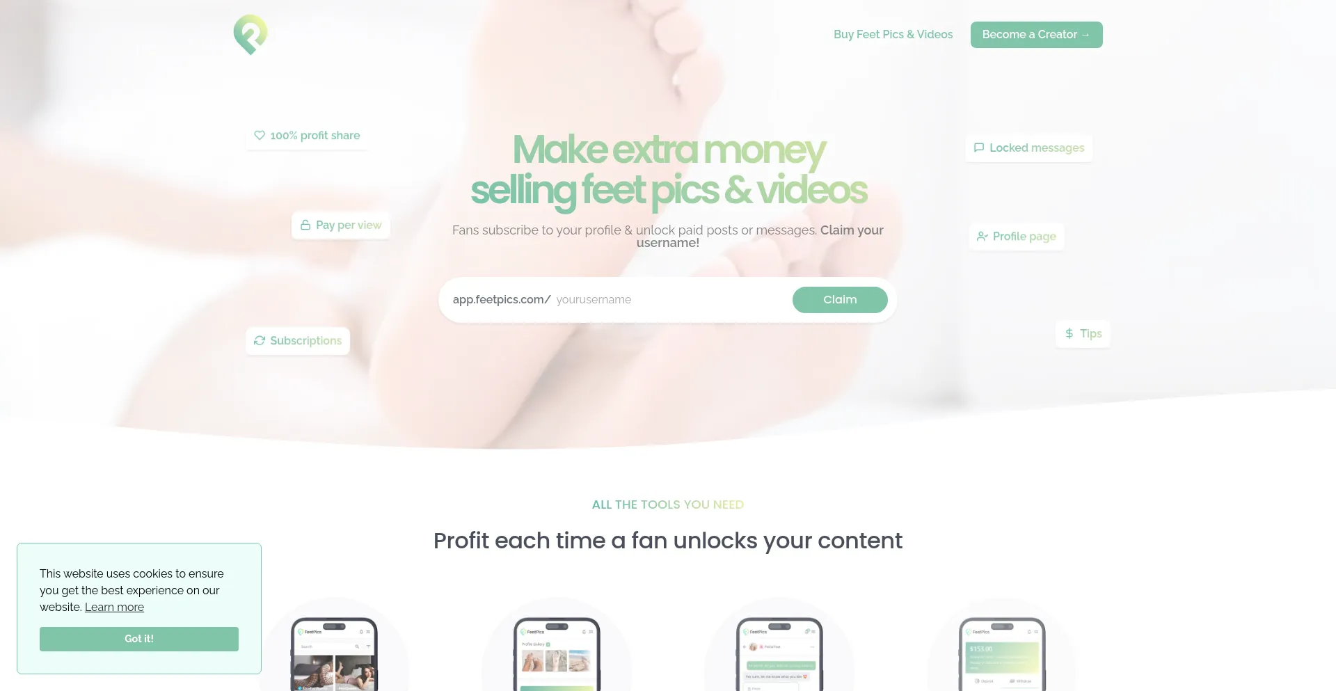 Website screenshot of Feetpics.com