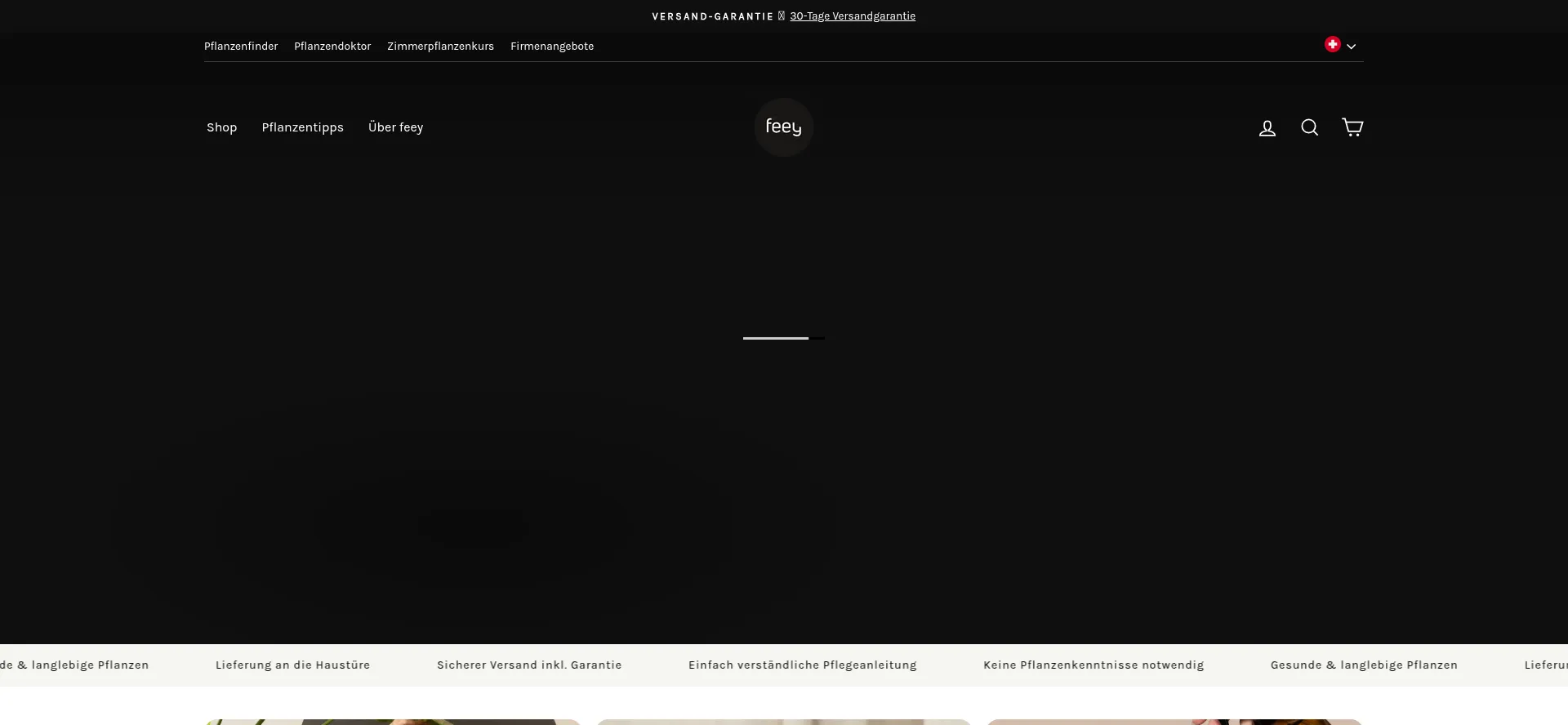 Website screenshot of Feey.ch