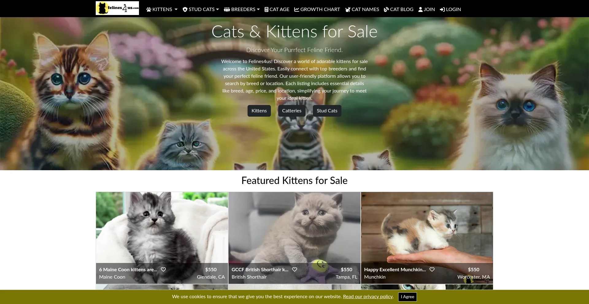 Felines4us.com Screenshot