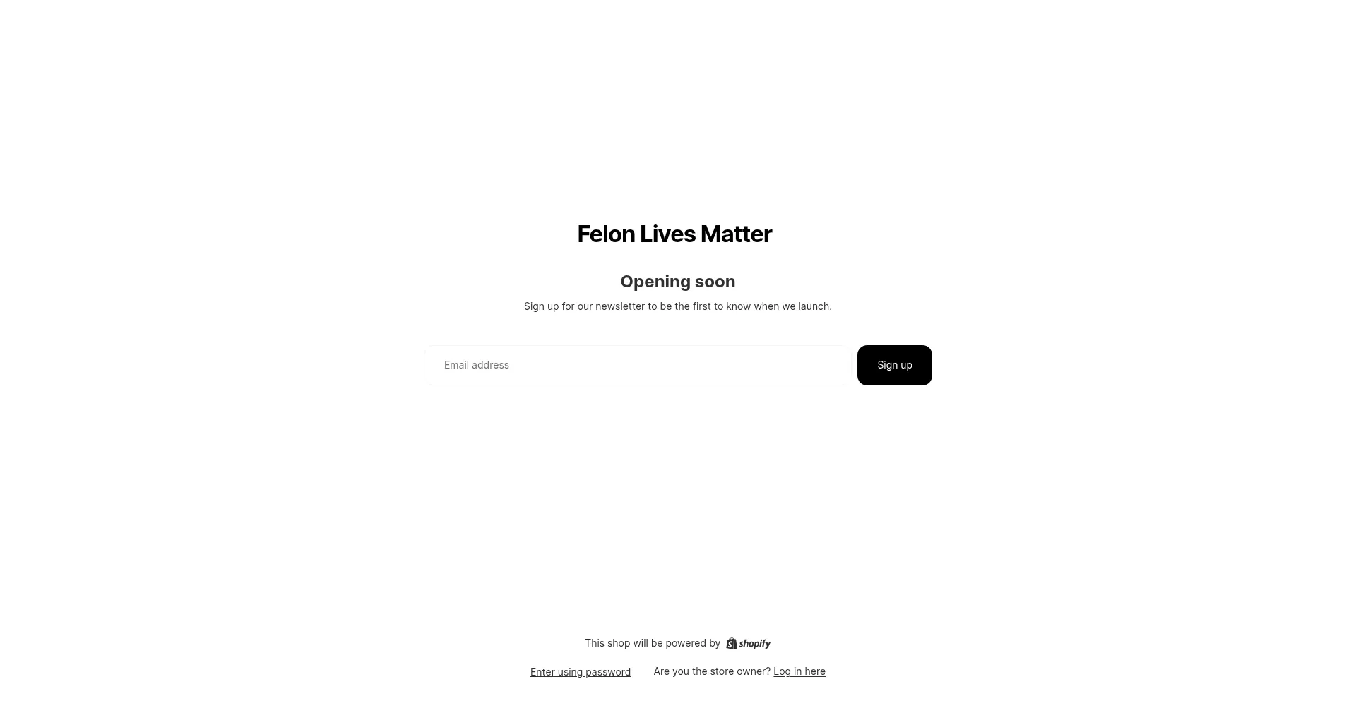Website screenshot of Felonlivesmatter.store