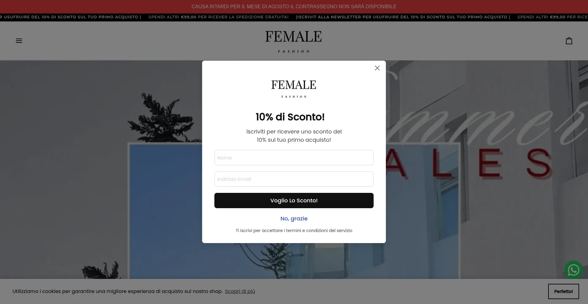 Website screenshot of Femalefashionstore.it