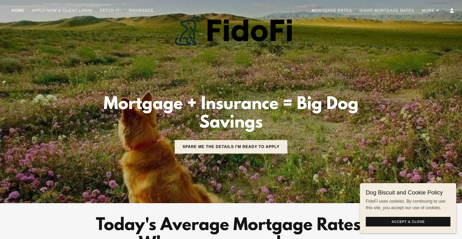 Website screenshot of Fidofi.com