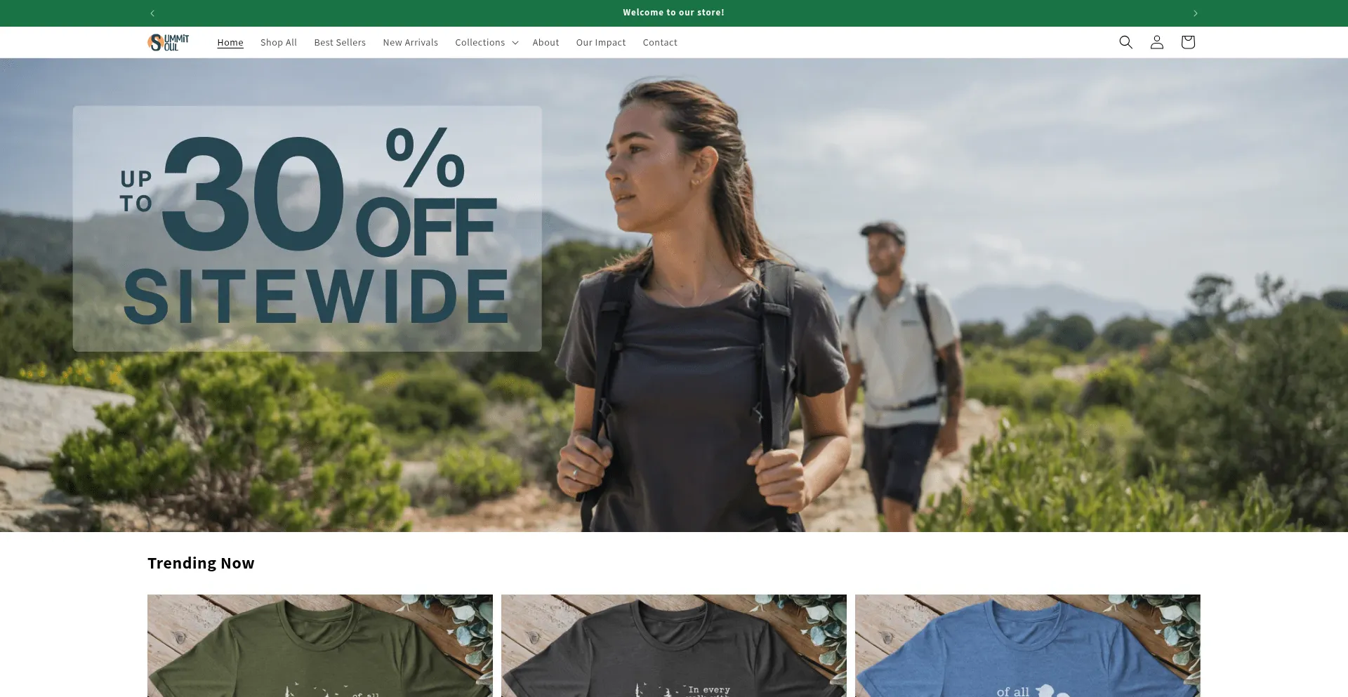 Website screenshot of Figs-shop.com