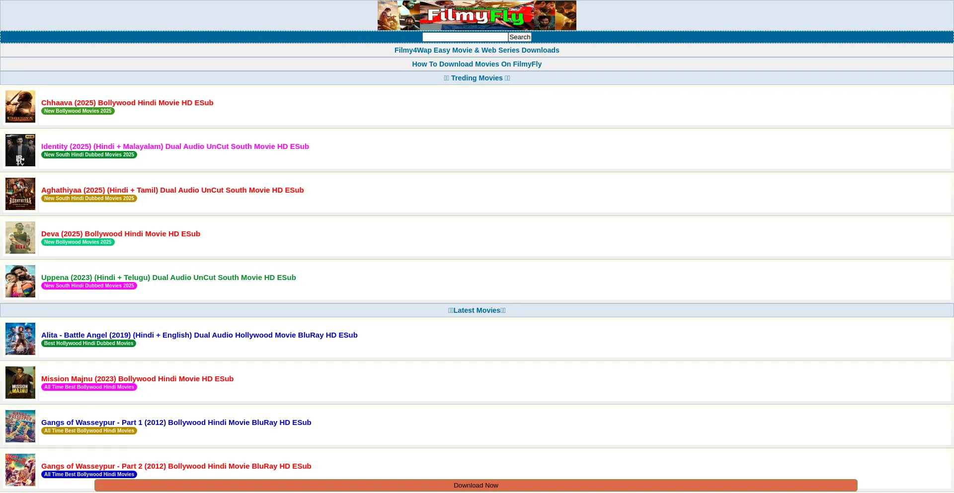 Website screenshot of Filmyfly.esq