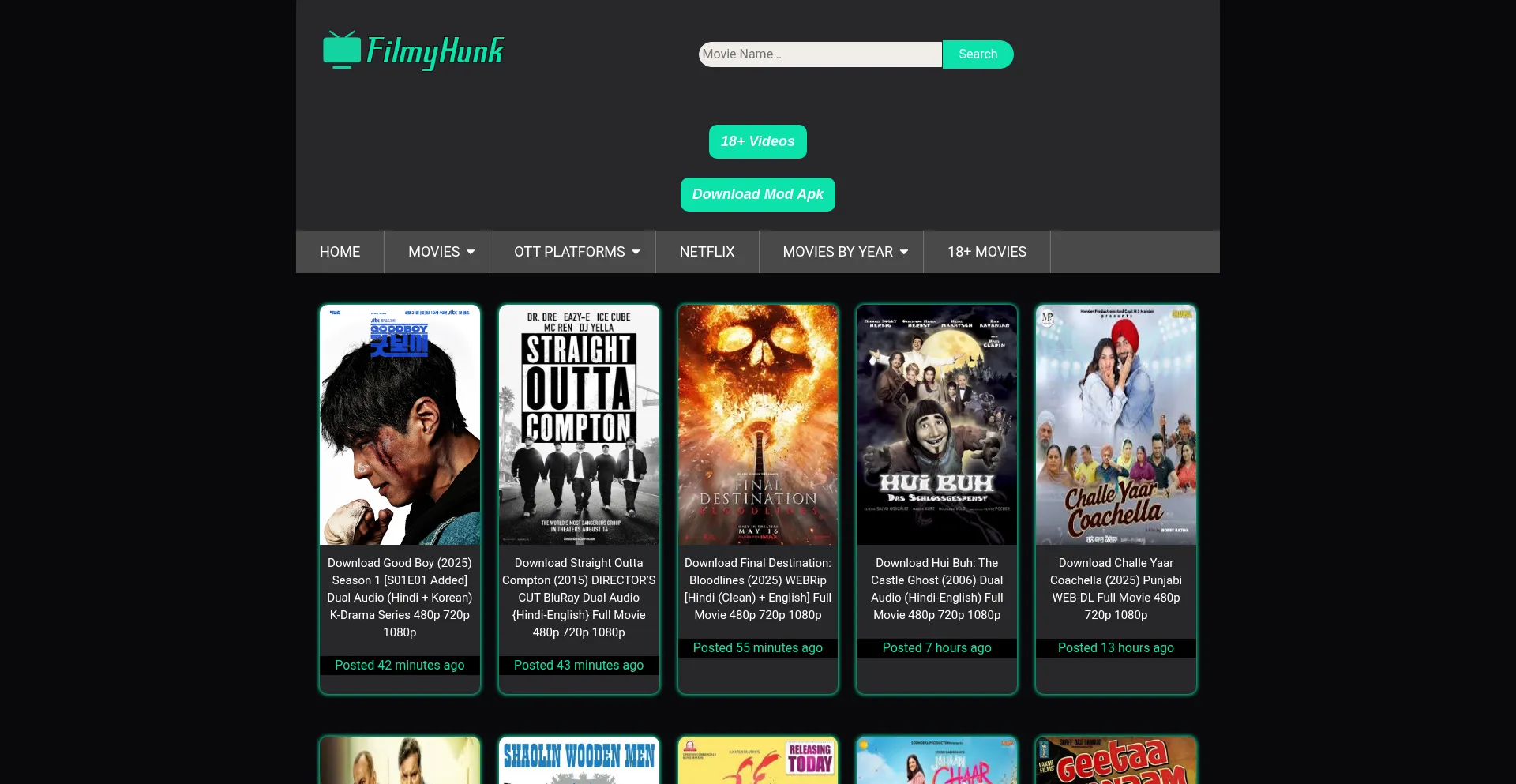 Website screenshot of Filmyhunkcom.link