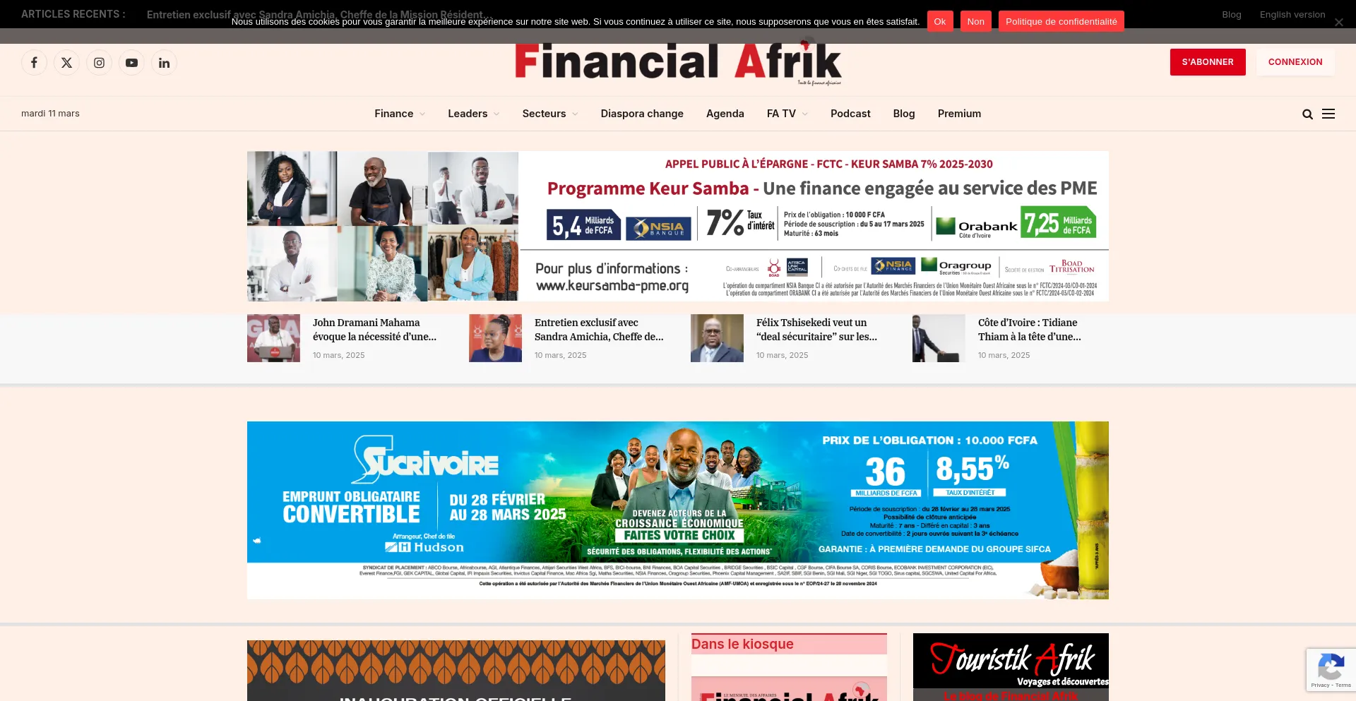 Website screenshot of Financialafrik.com
