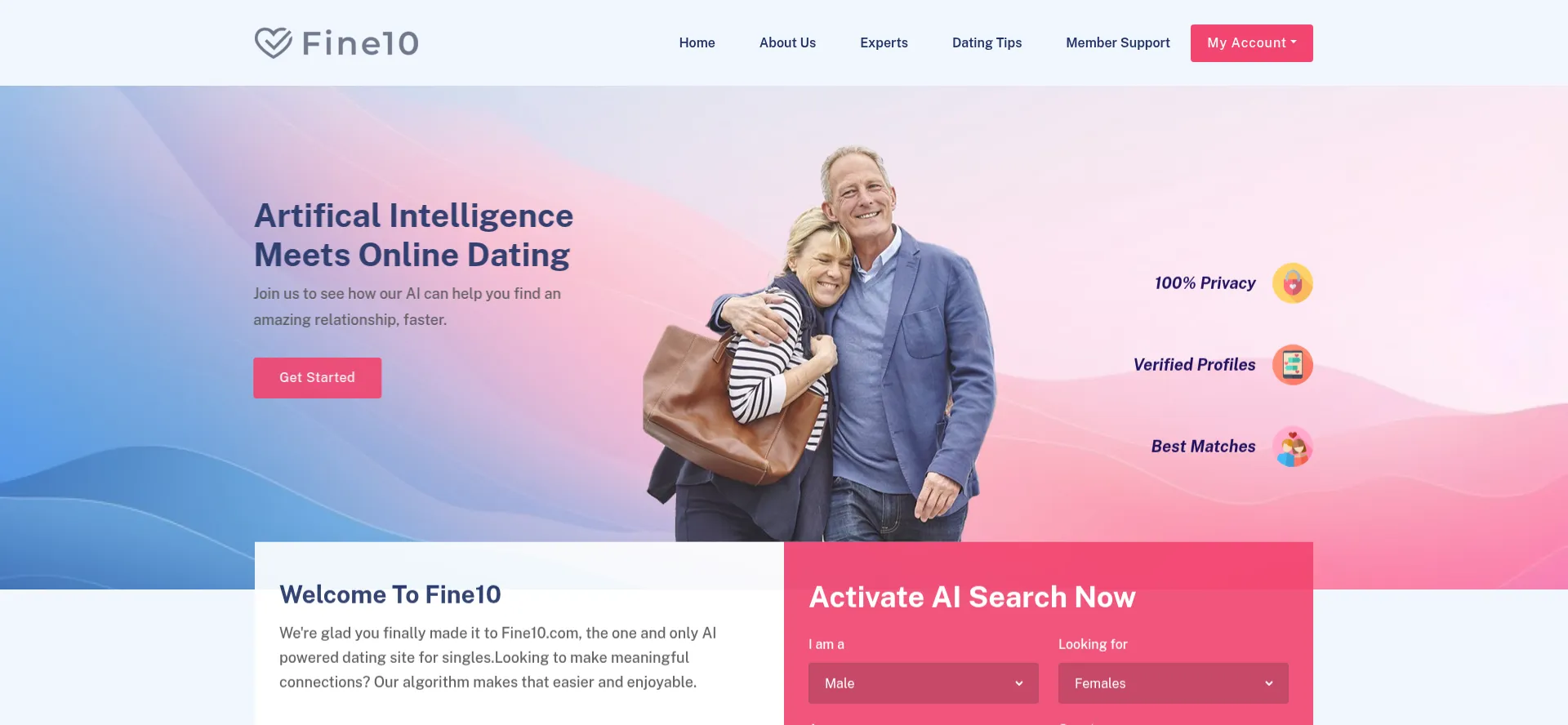 Website screenshot of Fine10.com
