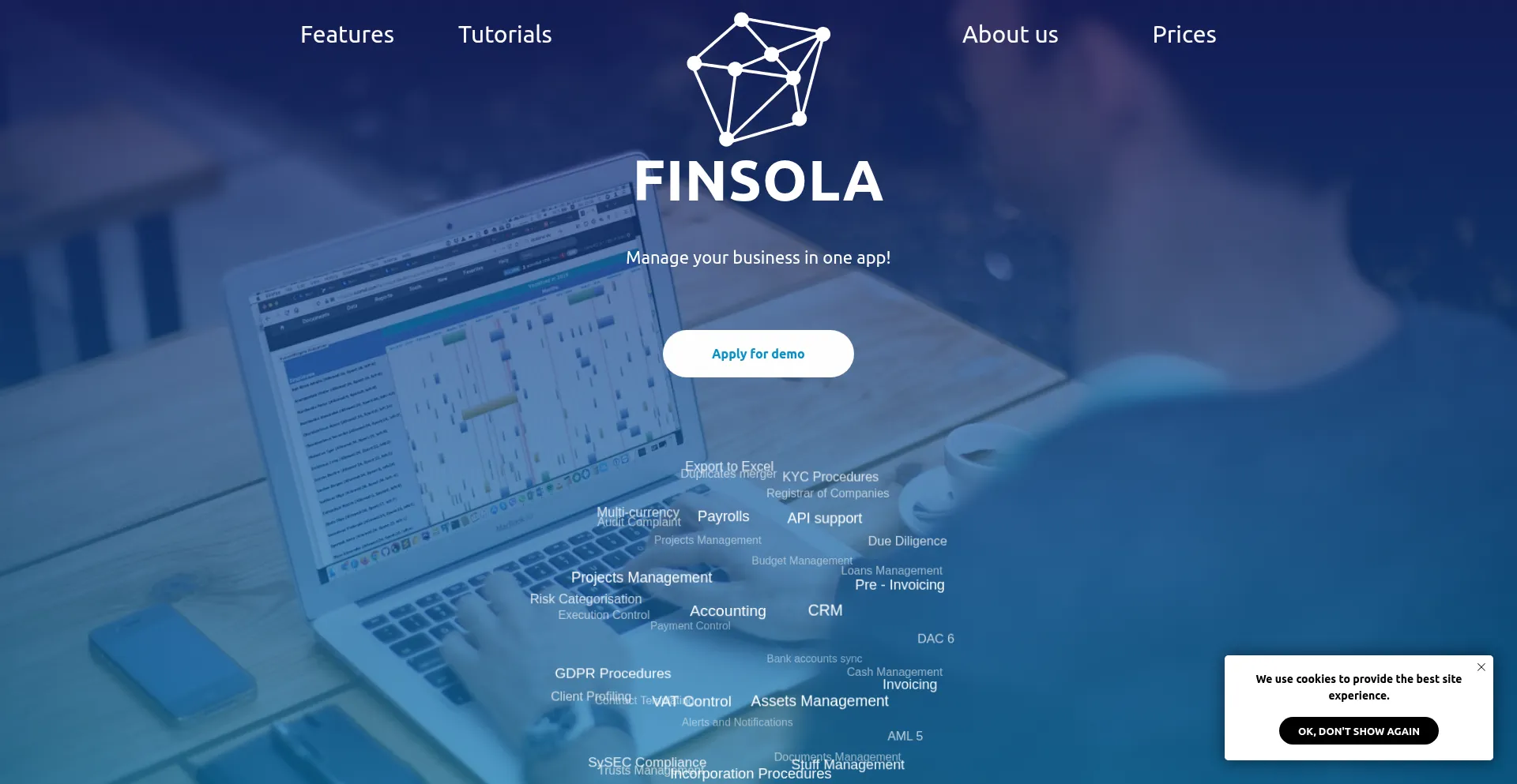 Website screenshot of Finsola.com