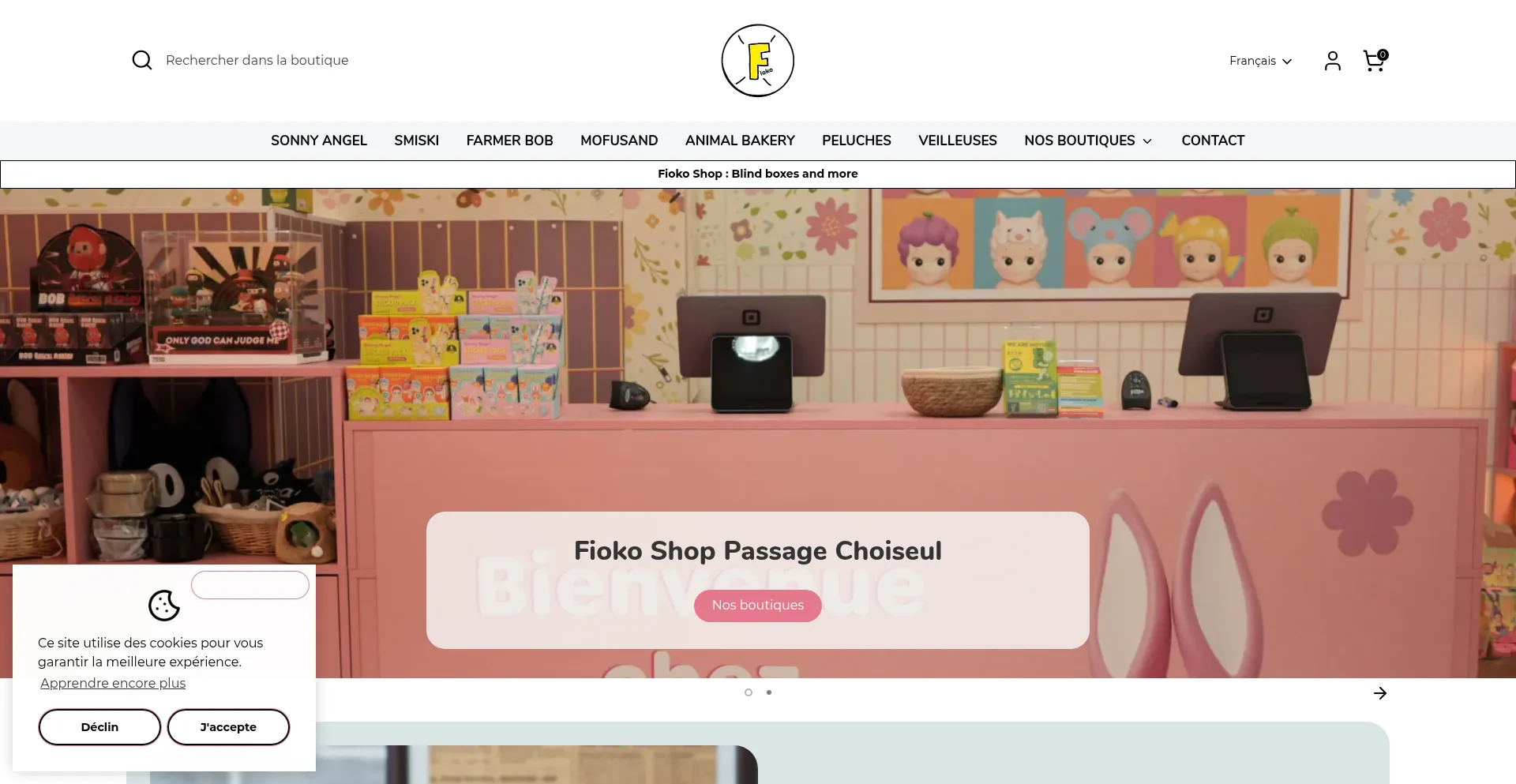 Website screenshot of Fioko.shop