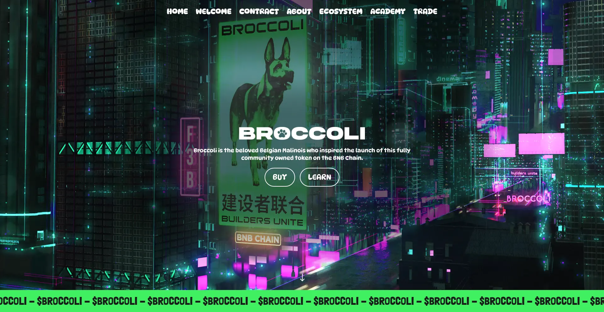 Firstbroccoli.com