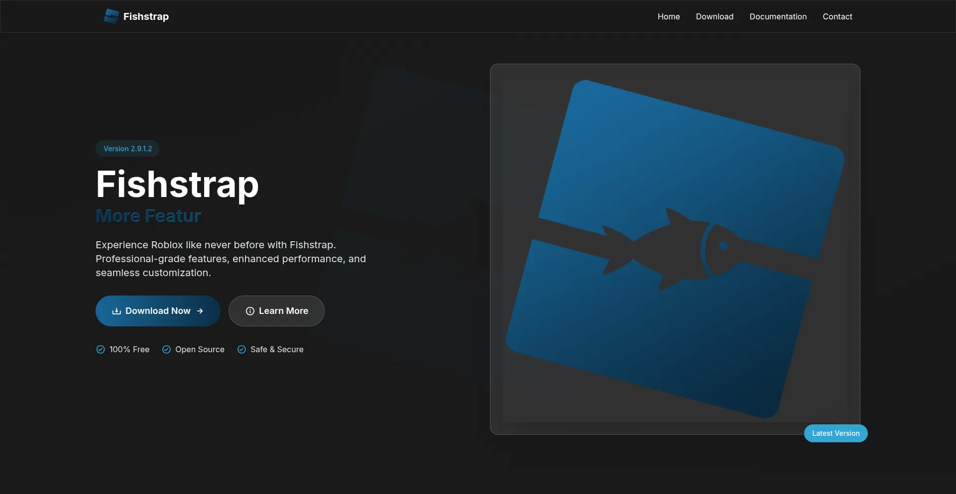 Website screenshot of Fishstrap.org