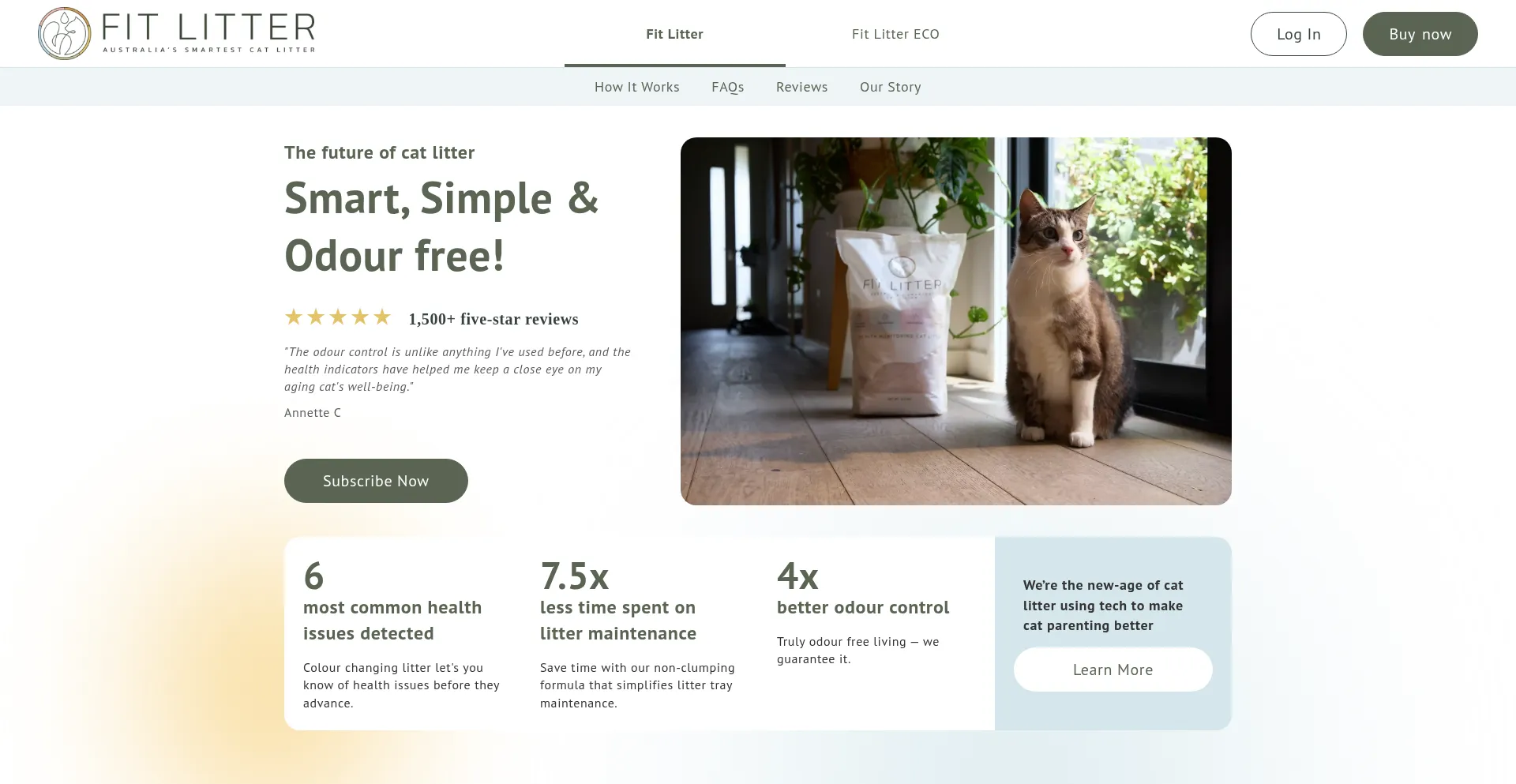Website screenshot of Fitlitter.com.au