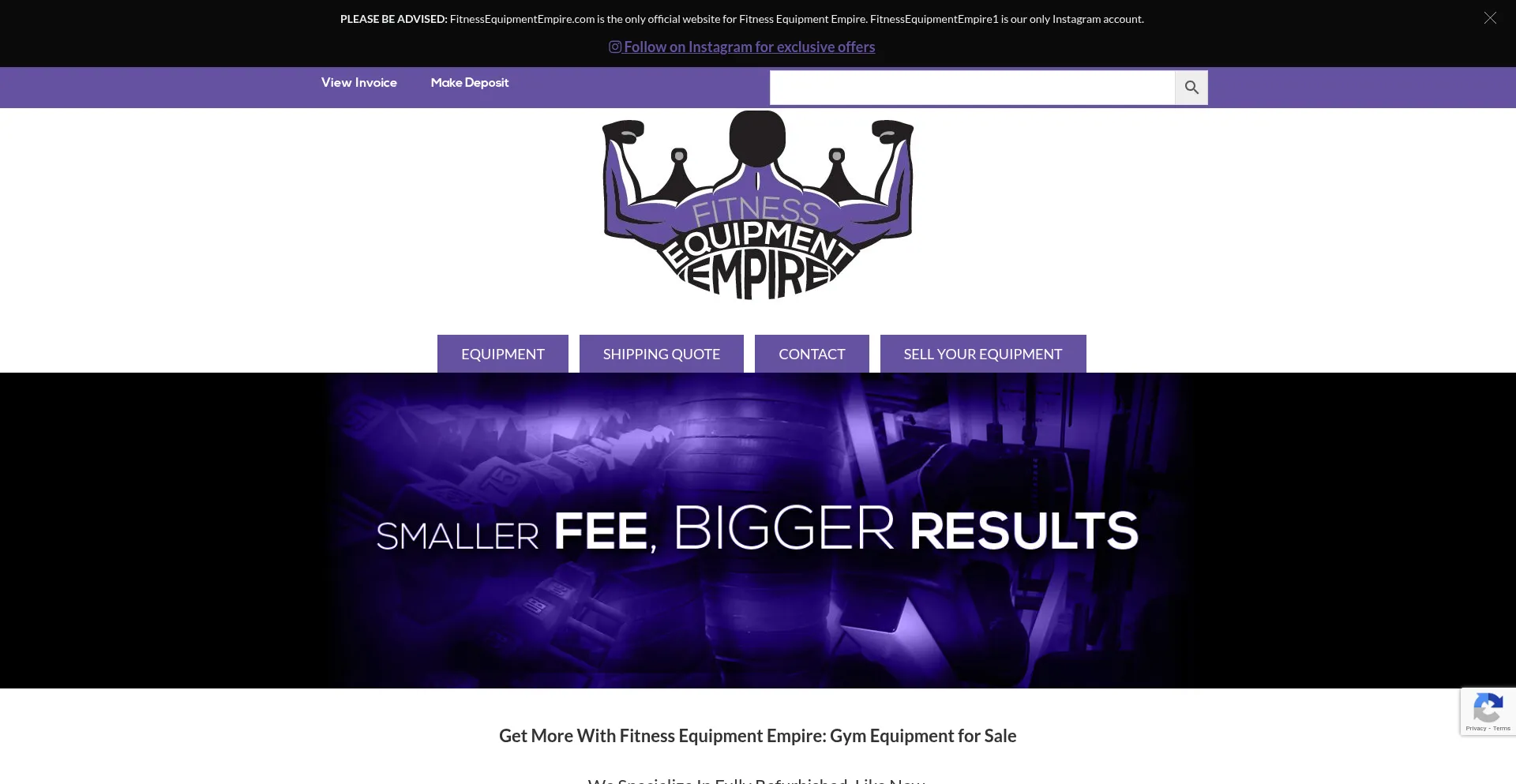 Website screenshot of Fitnessequipmentempire.com